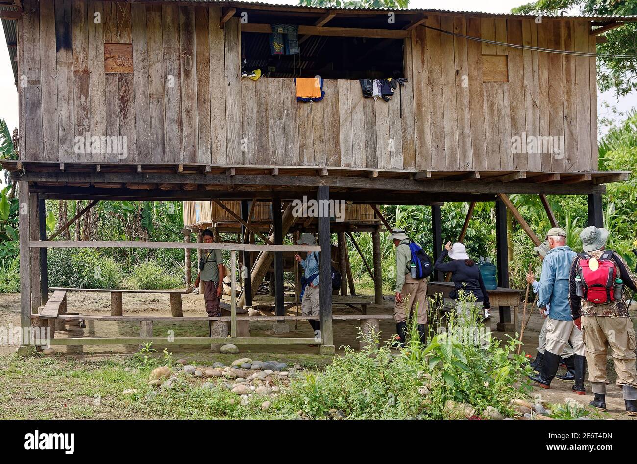 Viaggiatori che camminano sotto la giungla casa, Shaman's, legno, su palafitte, rialzati sopra terra, panchine, visita, apprendimento, persone, Sud America, Amazon Tropi Foto Stock
