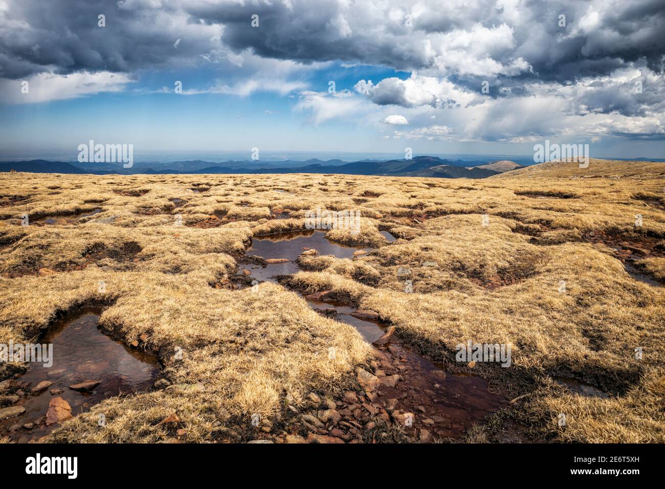 Paesaggio nel Mount Evans Wilderness, Colorado Foto Stock