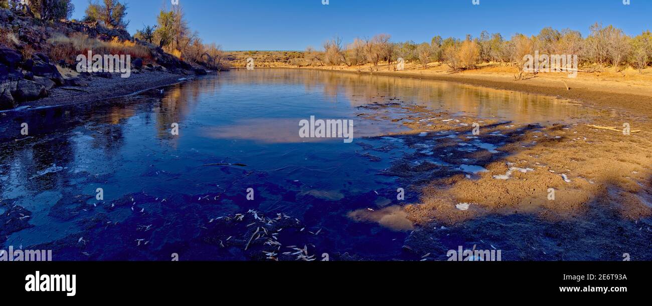 Un laghetto artificiale di bestiame chiamato Hell Canyon Tank a nord di Paulden Arizona. A causa delle basse temperature notturne, si è congelata. Foto Stock