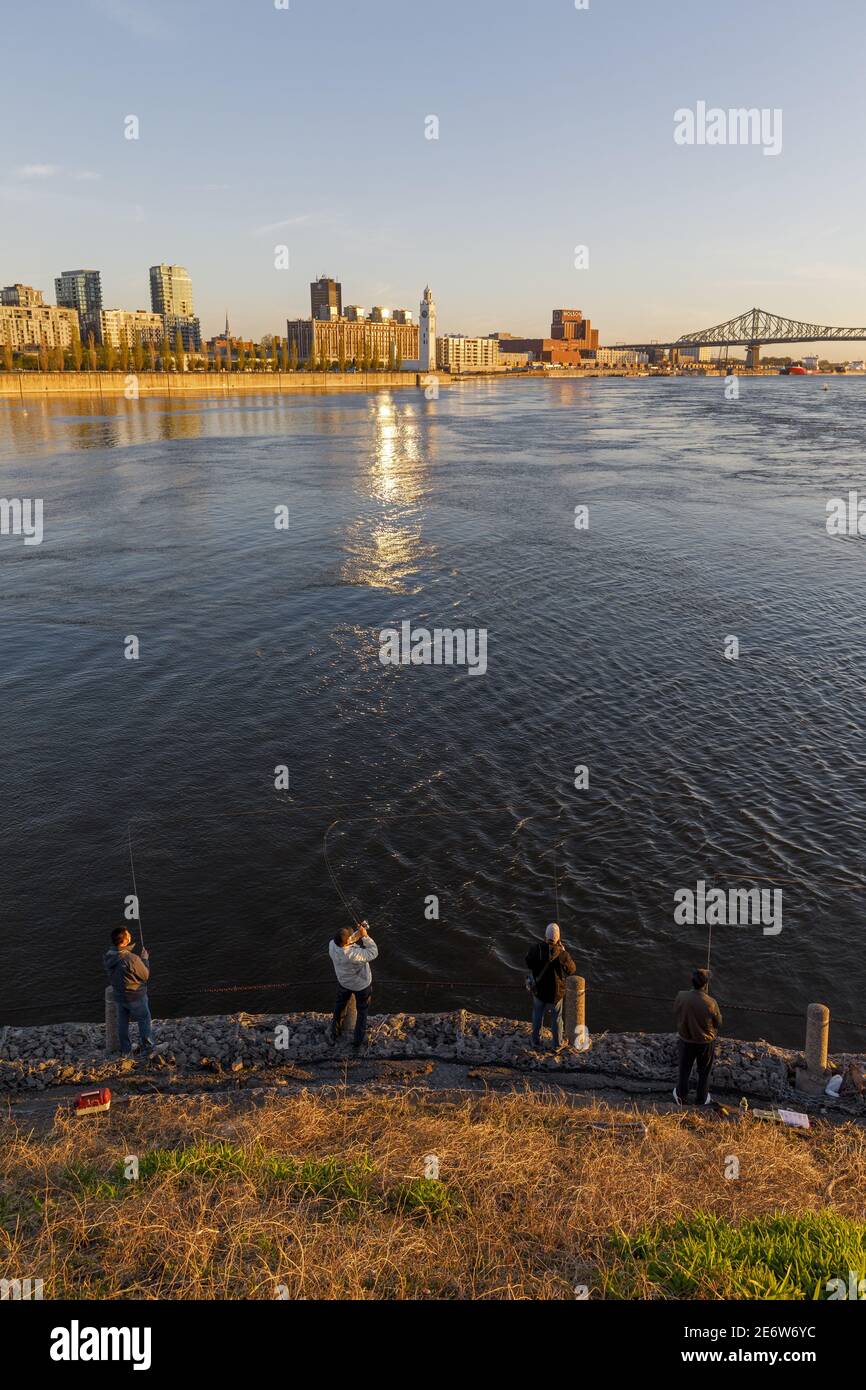 Canada, provincia del Quebec, Montreal, il Porto Vecchio, Montreal Vecchia, il fiume Saint-Laurent, la penisola del Cit?-du-Havre, pescatori di mattina, in lontananza, la torre dell'orologio e il ponte Jacques-Cartier Foto Stock