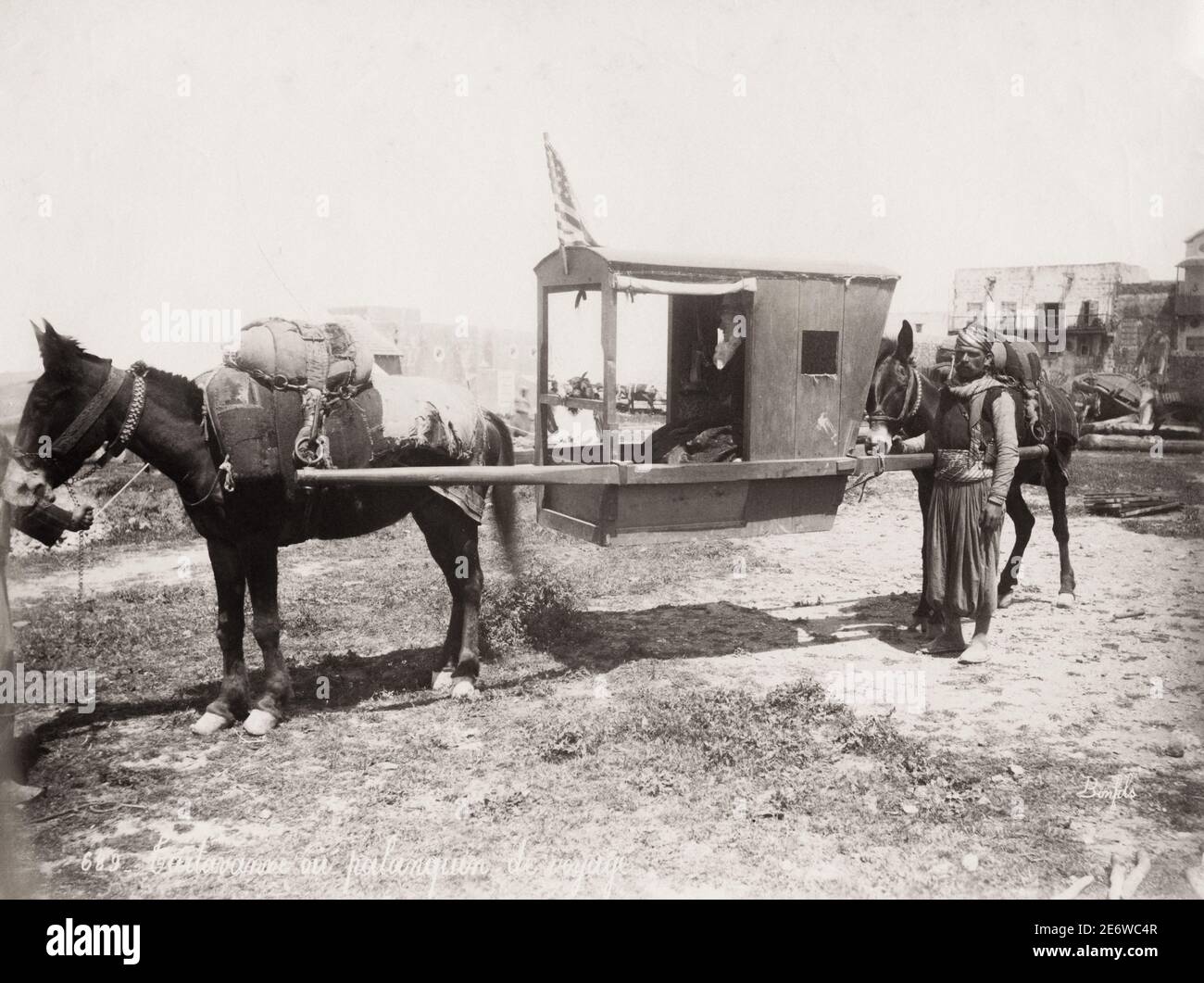 Fotografia del 19 ° secolo d'epoca: Mule disegnato palanquin, sedia berlina, sedia da trasporto, Egitto. Foto Stock