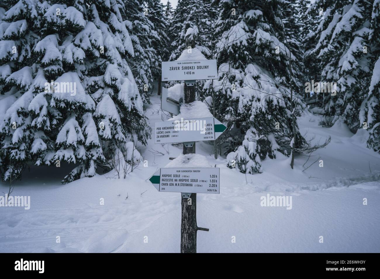 Tatra montagna neve paesaggio con cartelli turistici e indicatori di direzione. Magico terreno coperto di neve d'inverno. Il terreno invernale è congelato Foto Stock