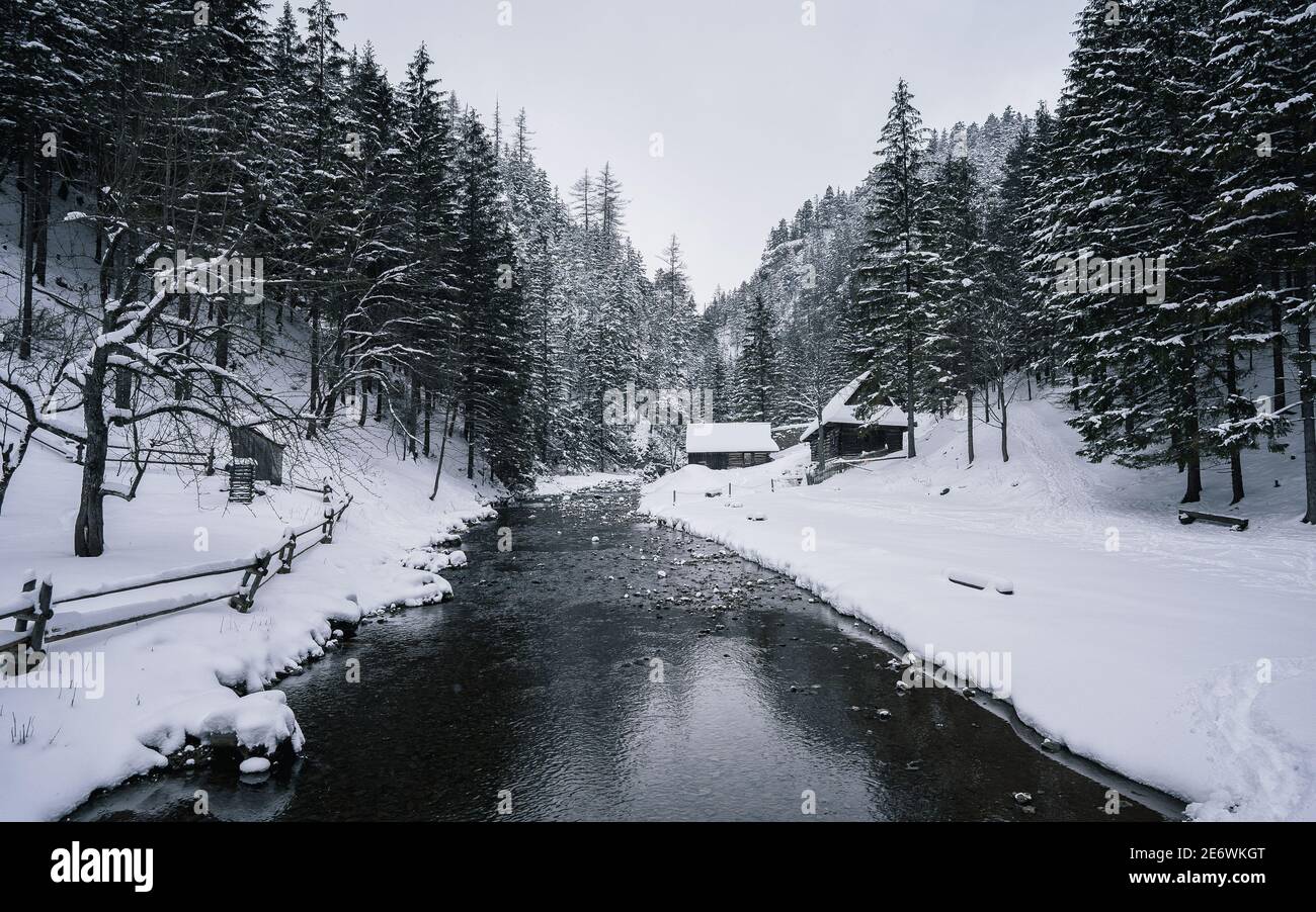 Legno vecchia casa accanto ad un ruscello nella foresta durante la giornata invernale. Foto Stock