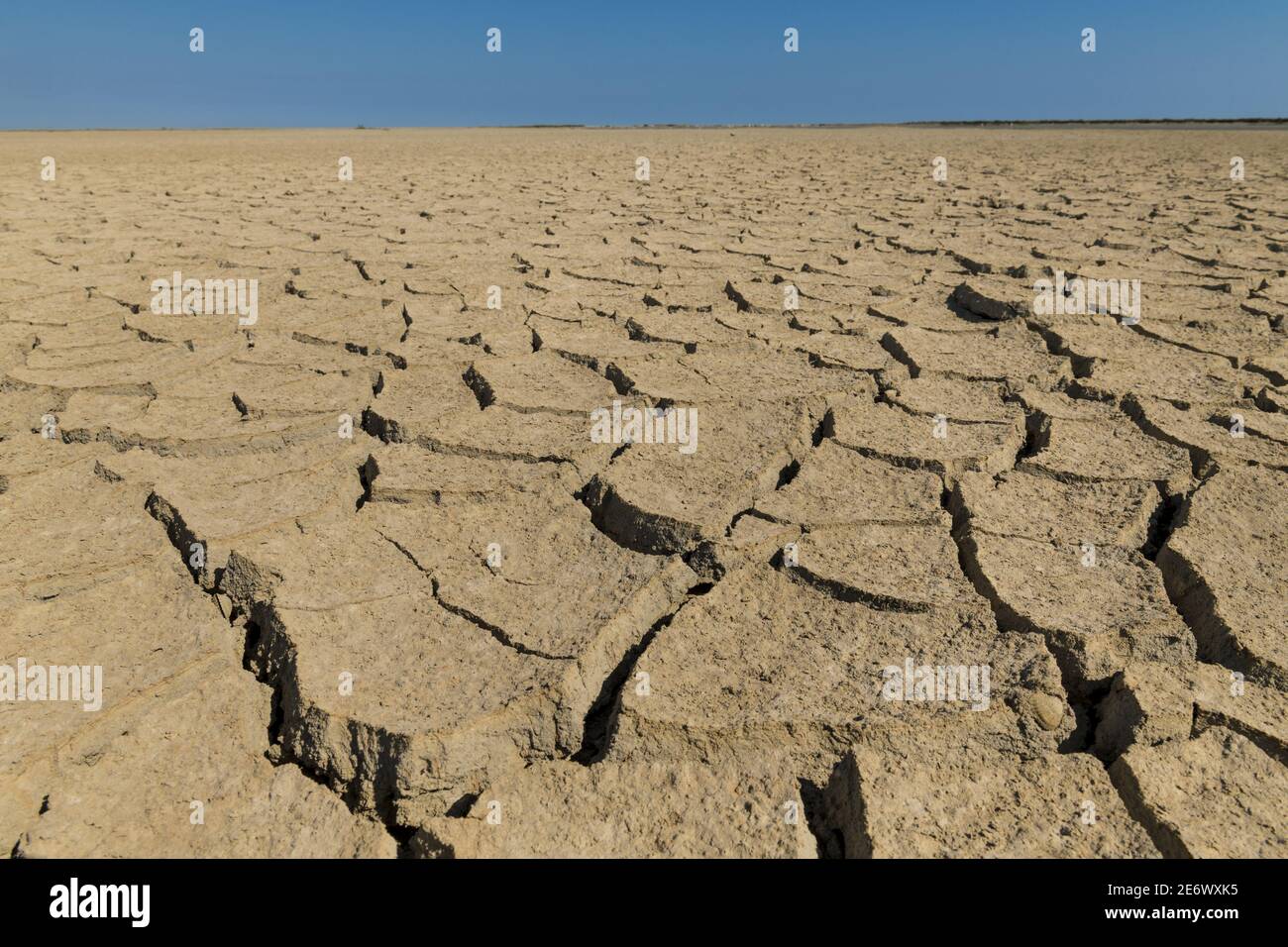 Francia, Bouches-du-RH?ne (13), Provenza-Alpi-Costa Azzurra, Sainte Marie de la mer, Arles, parco naturale regionale della Camargue, Riserva della Biosfera (UNESCO), Beauduc, campo di sale secco Foto Stock