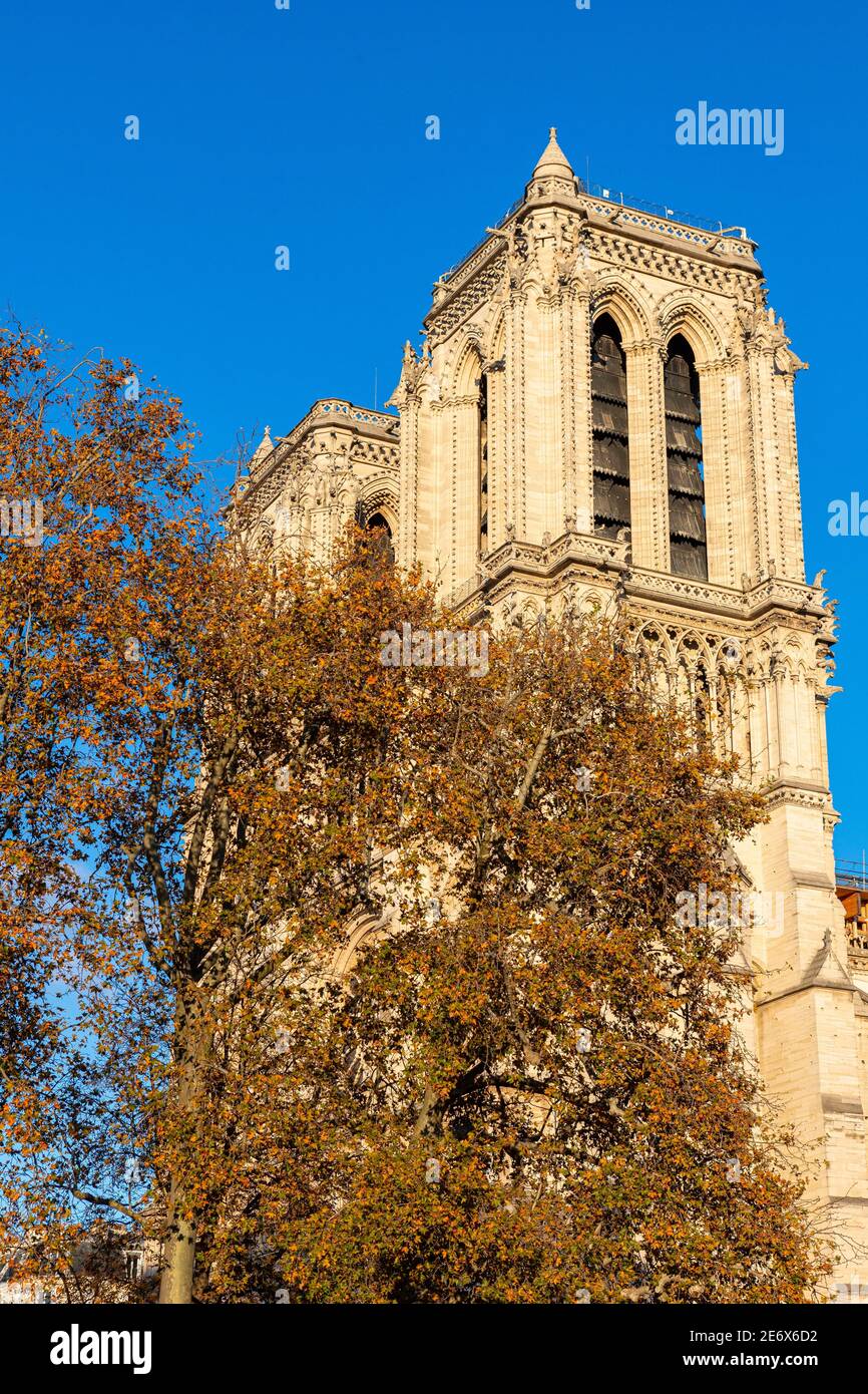 Francia, Parigi, Cattedrale di Notre Dame de Paris in autunno Foto Stock