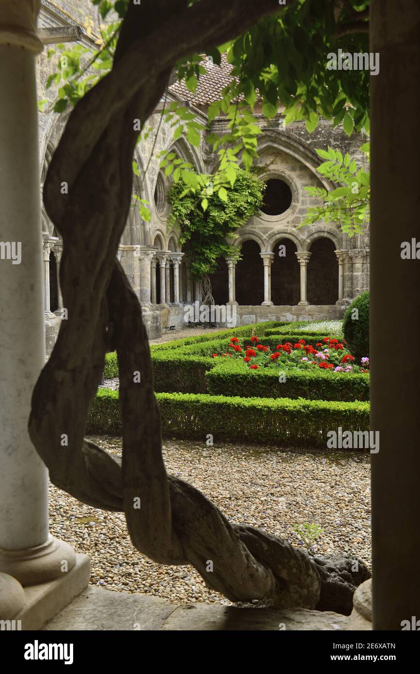 Francia, Aude, l'abbazia di Fontfroide, il chiostro Foto Stock