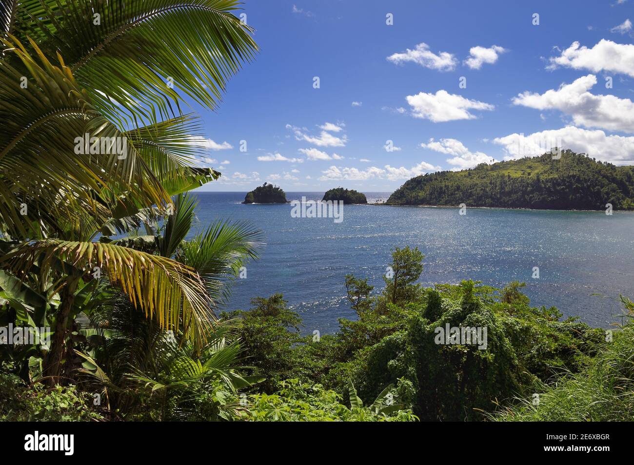 Caraibi, Isola Dominica, Castello-Bruce, la penisola Foto Stock