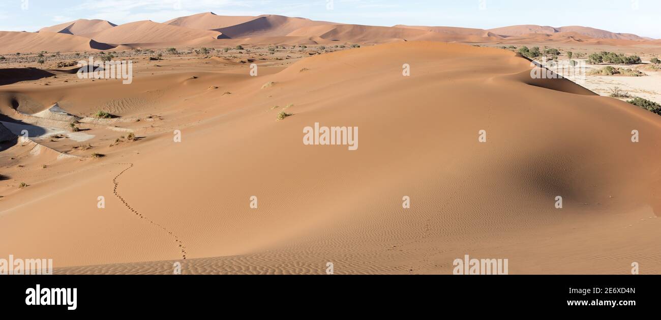 Namibia, deserto del Namib, Sesriem, paesaggi Foto Stock