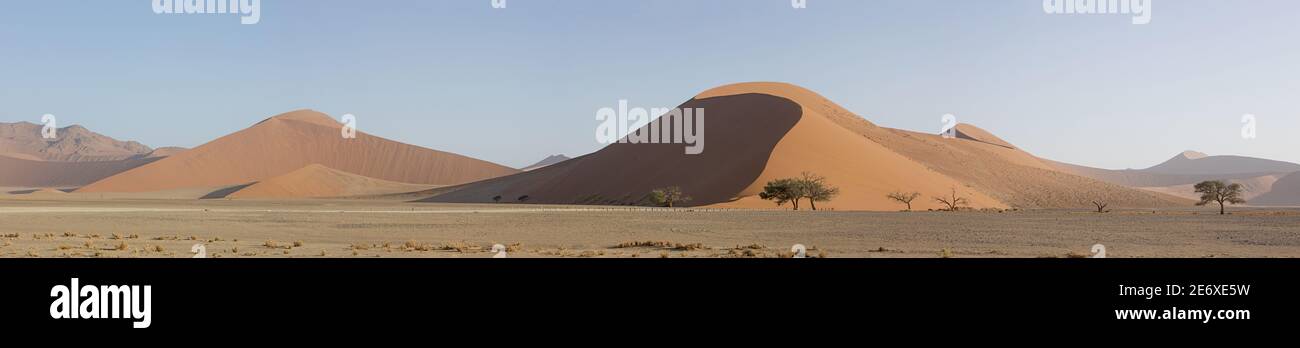 Namibia, deserto del Namib, Sesriem, la grande duna Foto Stock