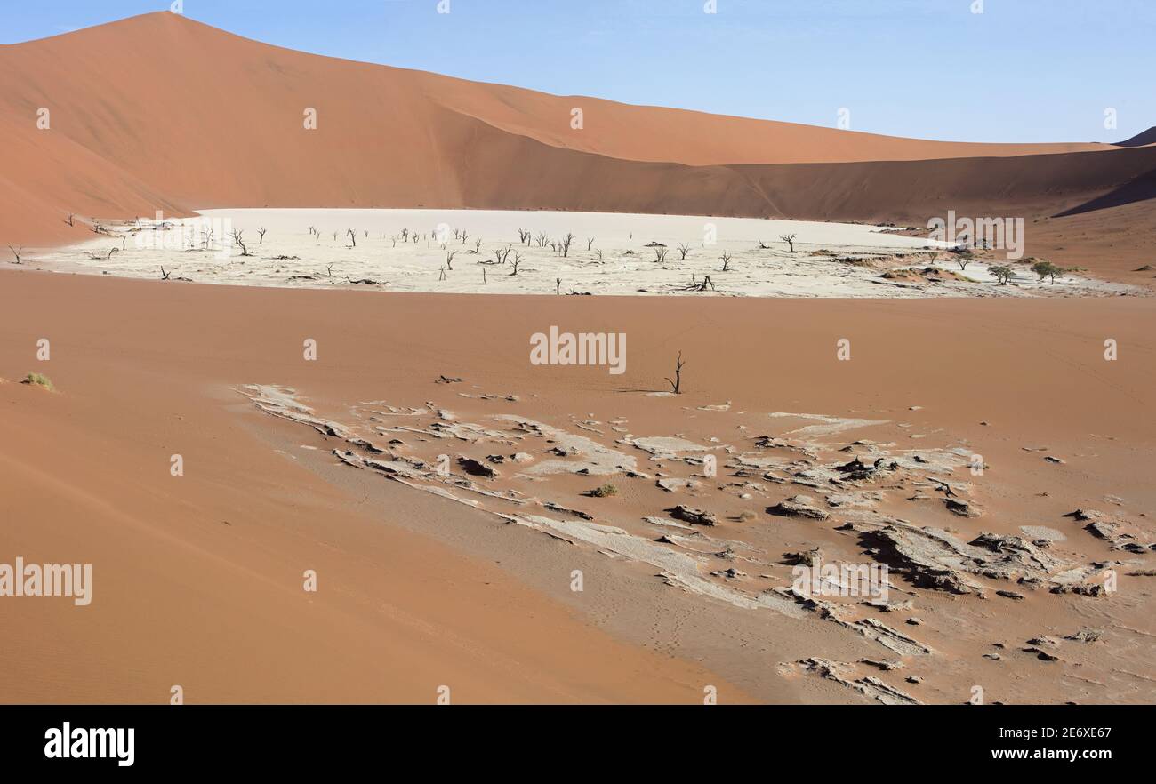 Namibia, deserto del Namib, Sesriem, Dead Vlei Foto Stock