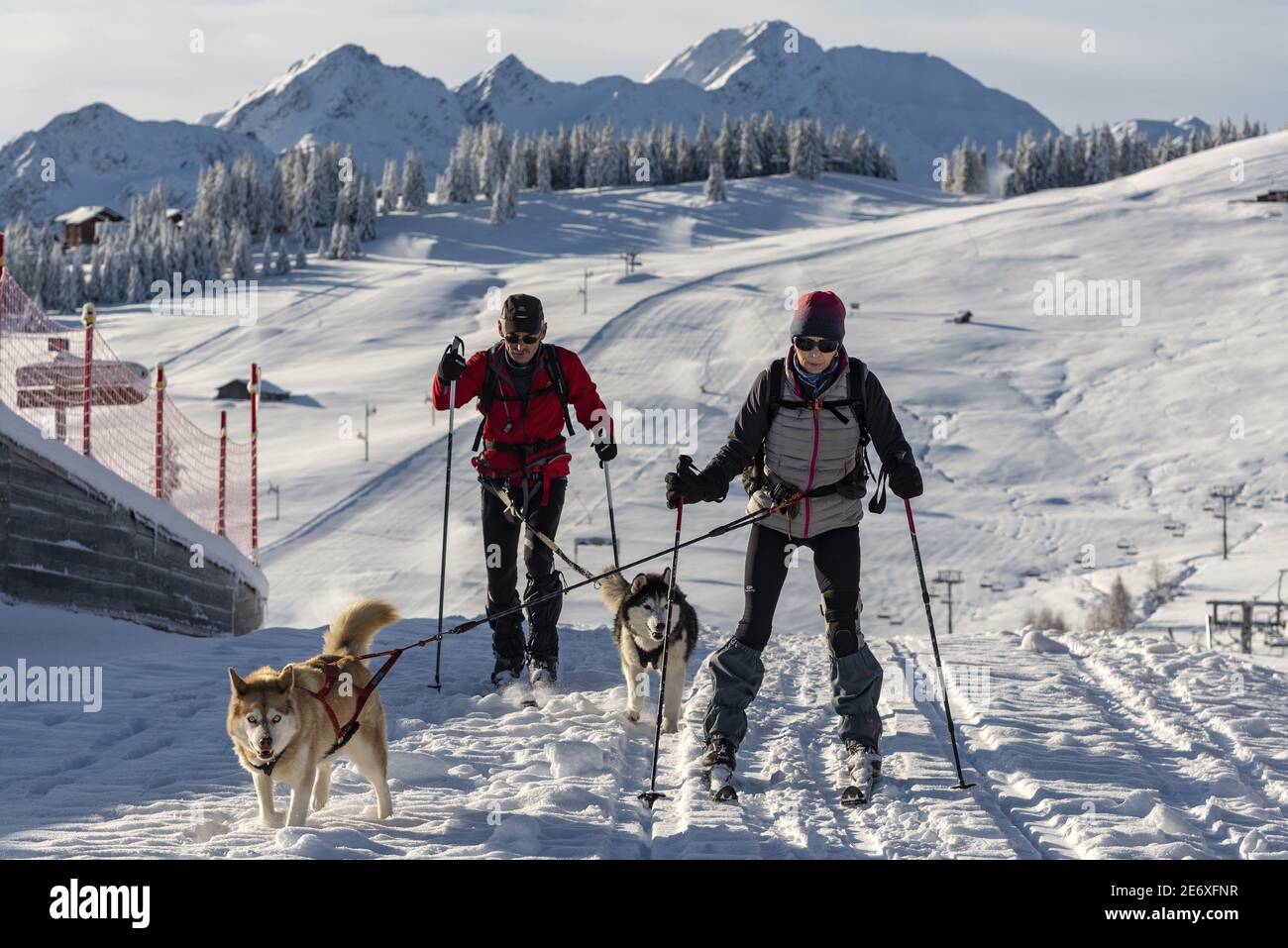 Francia, Savoia, Beaufortain massiccio, stazione del col des Saisies, coppia praticante sci nordico trainato da cani Foto Stock