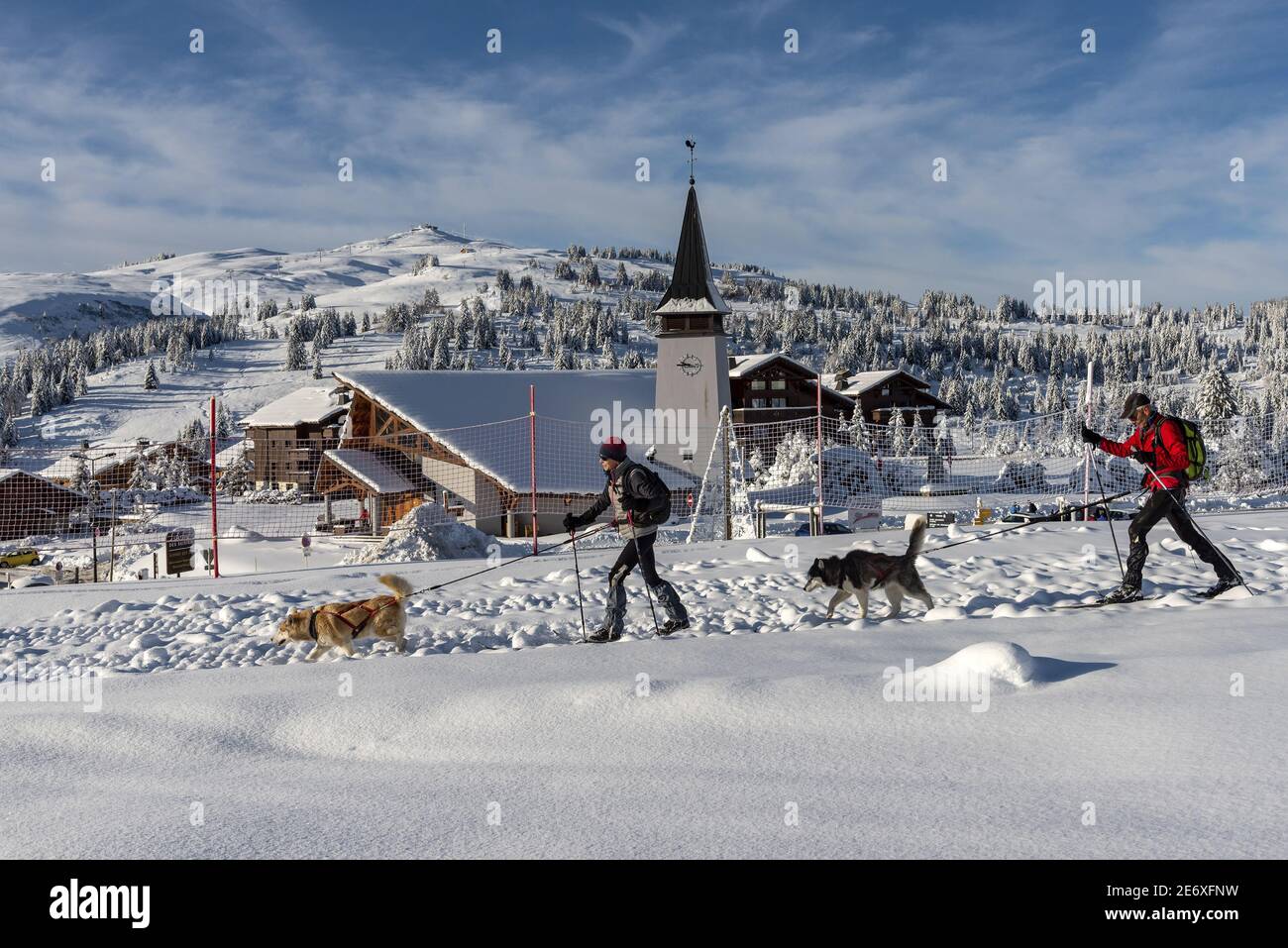 Francia, Savoia, Beaufortain massiccio, stazione del col des Saisies, coppia praticante sci nordico trainato da cani Foto Stock