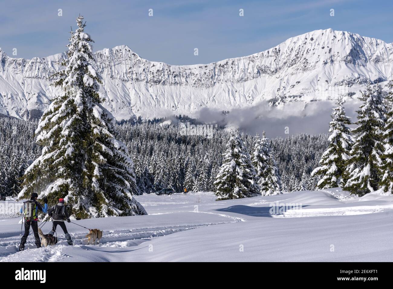 Francia, Savoia, Beaufortain massiccio, stazione del col des Saisies, coppia praticante sci nordico trainato da cani Foto Stock