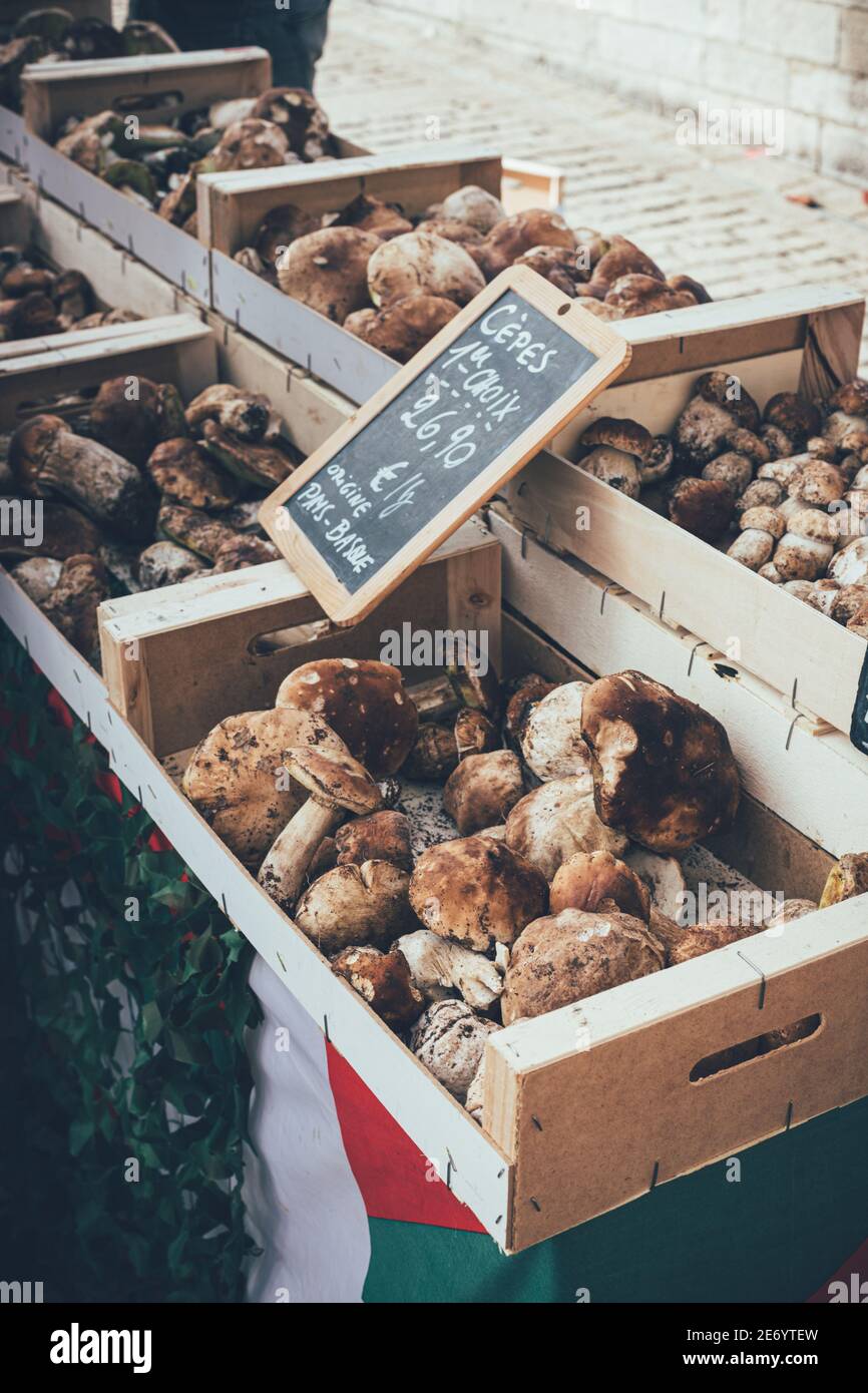 Funghi selvatici presso il mercato agricolo francese´s nei Paesi Baschi. Foto Stock
