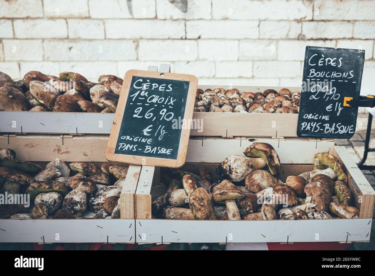 Funghi selvatici presso il mercato agricolo francese´s nei Paesi Baschi. Foto Stock