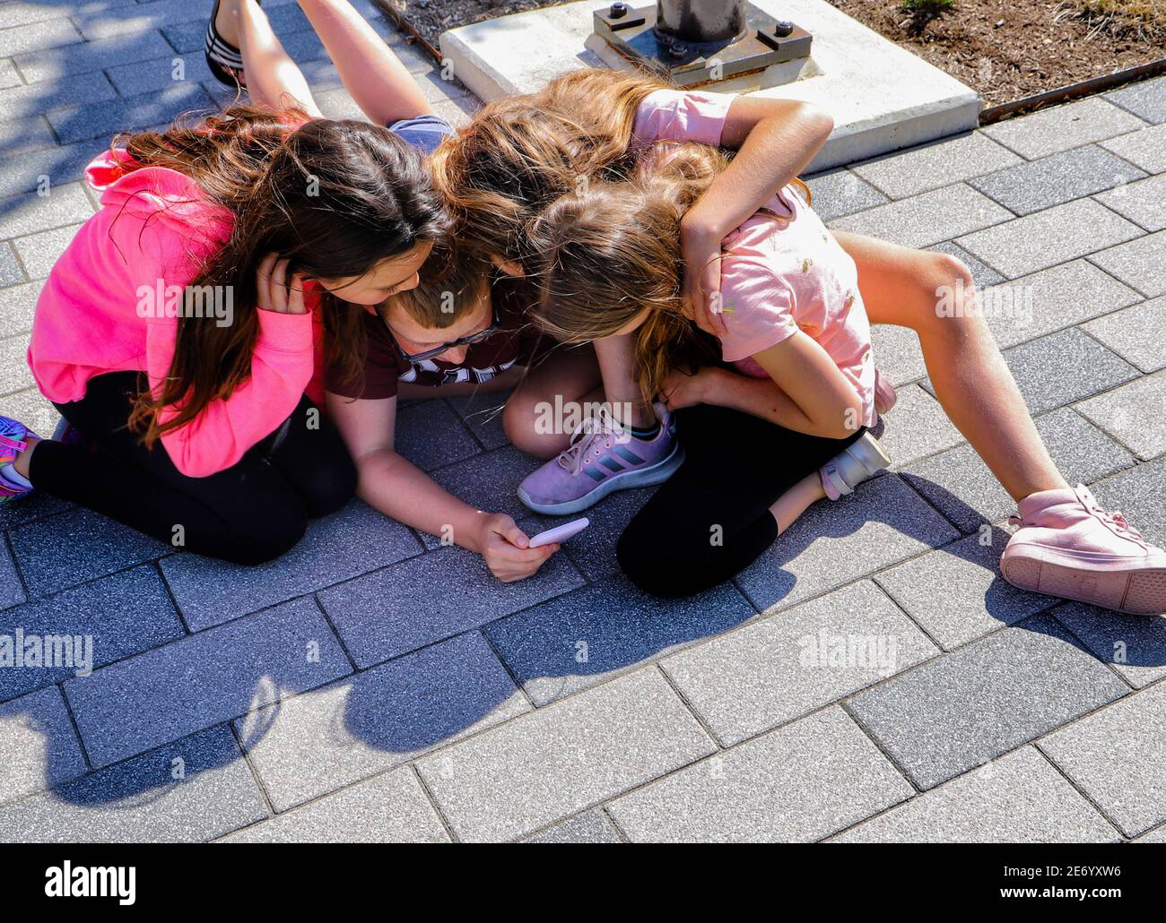 Quattro amici, tre ragazze e un ragazzo, con le braccia l'una intorno all'altra piegate in modo da poter tutti guardare lo schermo del telefono cellulare. Seduti su asfaltatrici. Foto Stock