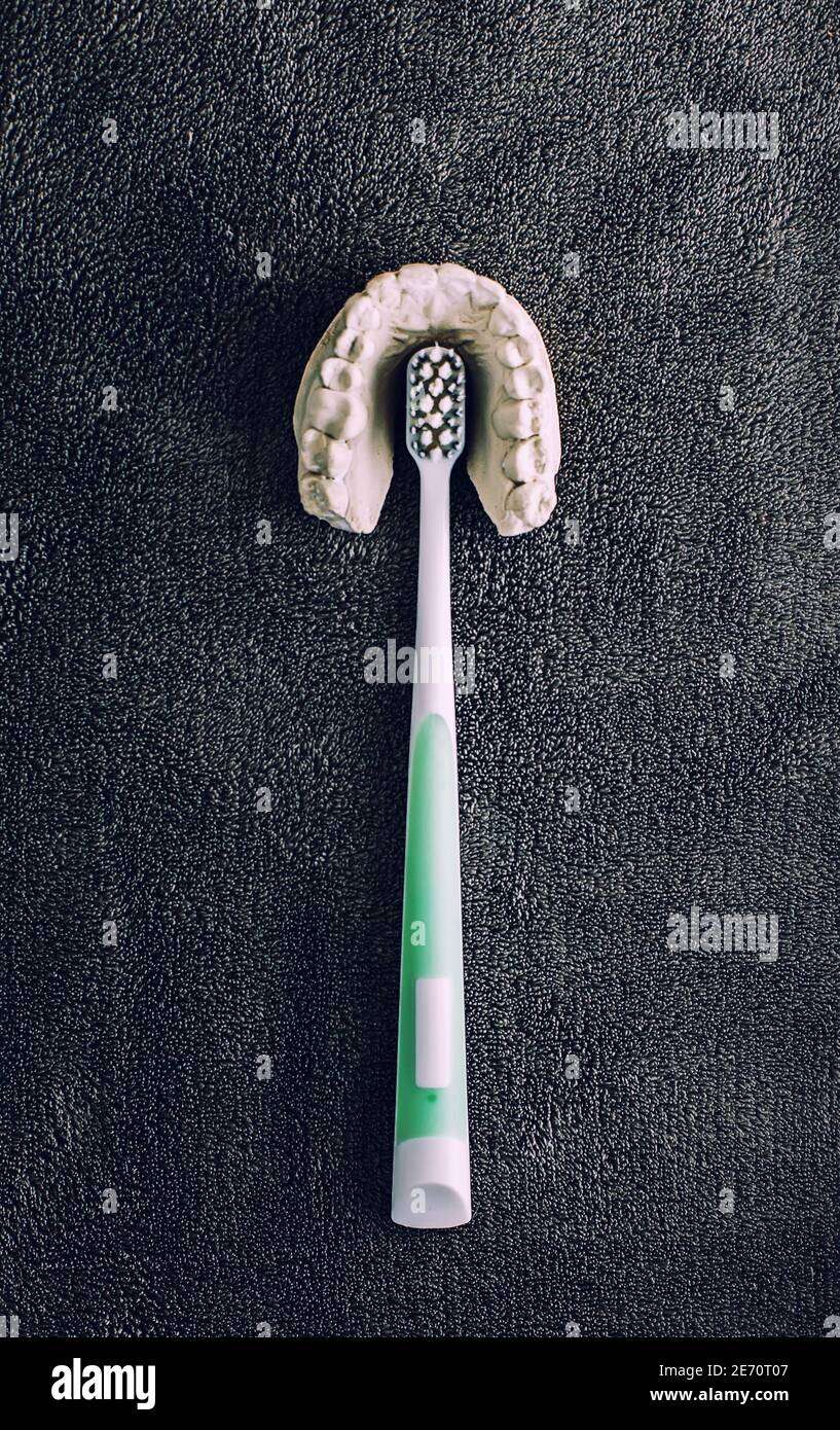 Vista dall'alto del pennello dentato in plastica all'interno dei denti in gesso la ganascia registra su sfondo grigio, l'igiene e il concetto dentale Foto Stock