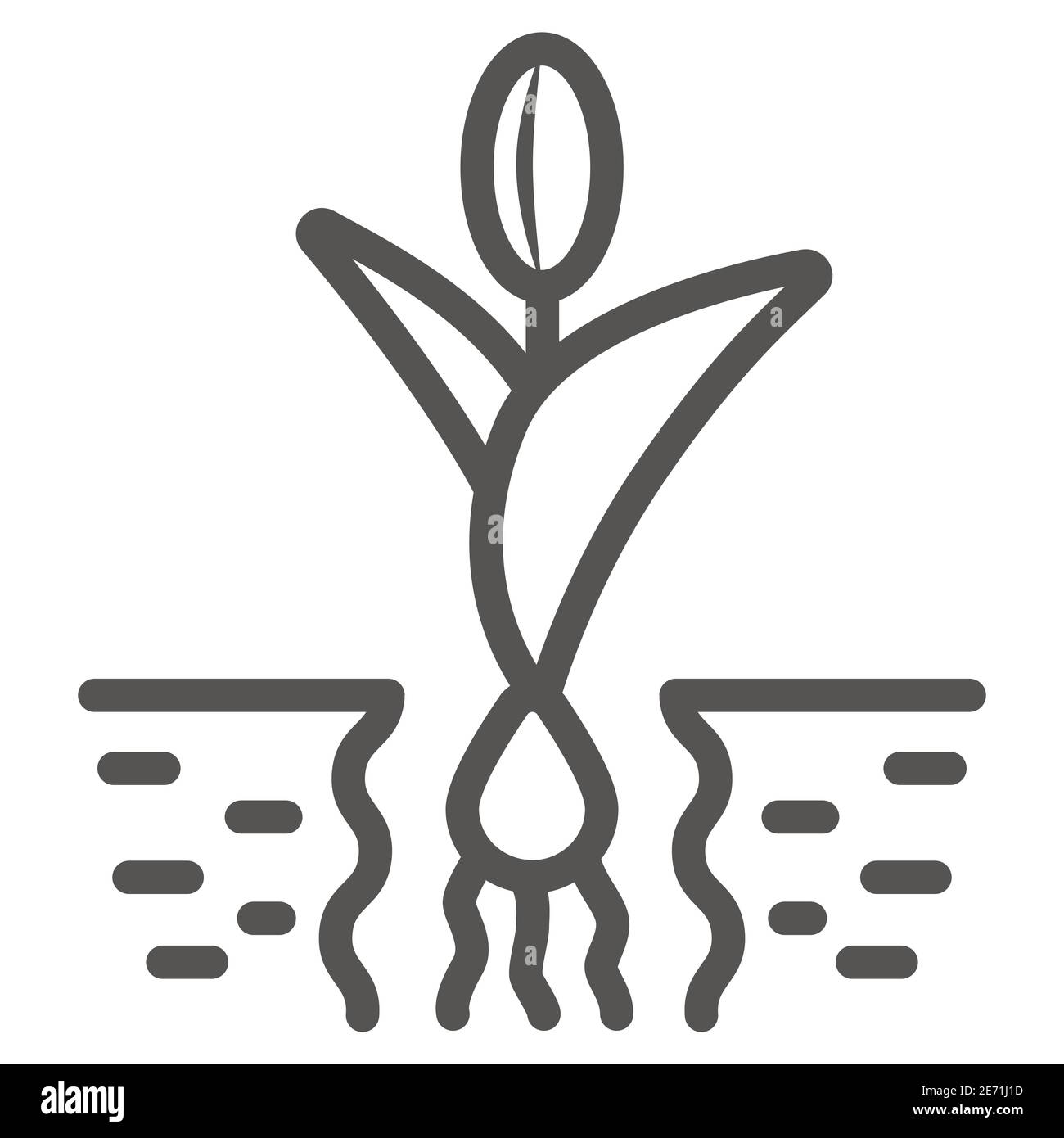 Fiore nell'icona della linea del suolo, concetto di giardino e giardinaggio, il tulipano cresce segno su sfondo bianco, pianta con radici nell'icona del suolo nello stile di contorno per Illustrazione Vettoriale