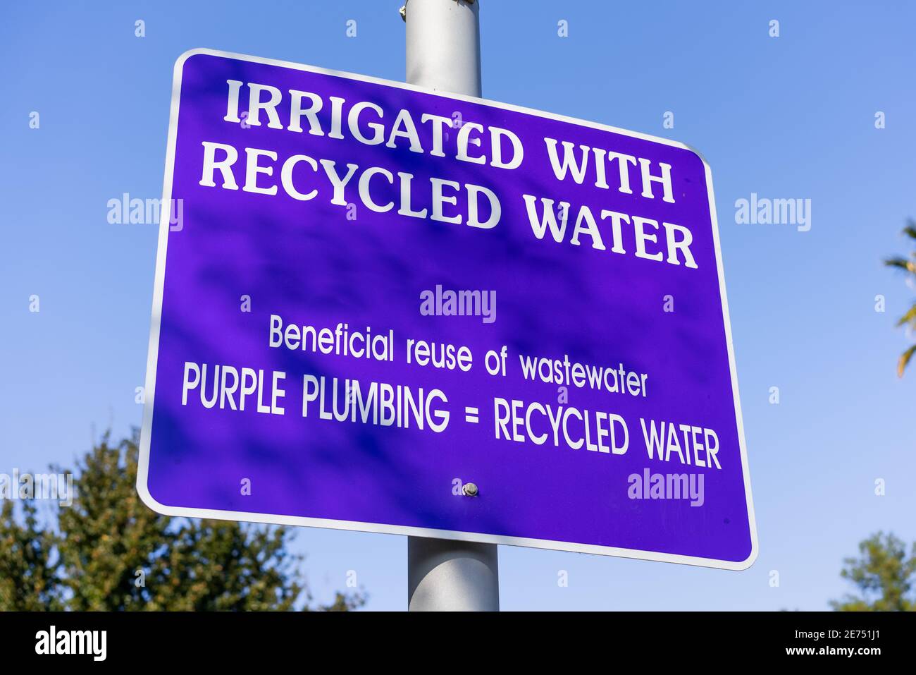 Primo piano di irrigato con segnale di acqua riciclata; San Francisco Bay Area, California Foto Stock