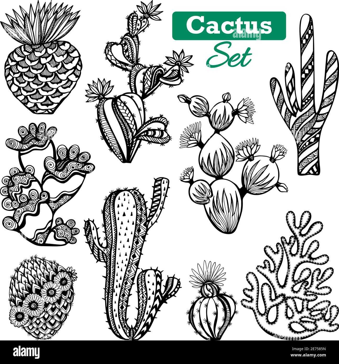 Decorativo diversi tipi di icone cactus set con spine nere illustrazione vettoriale isolata dello schizzo bianco Illustrazione Vettoriale