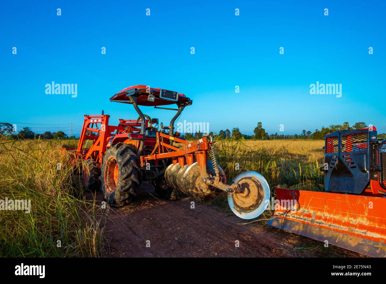 Macchine agricole nei campi di riso al tramonto Foto Stock