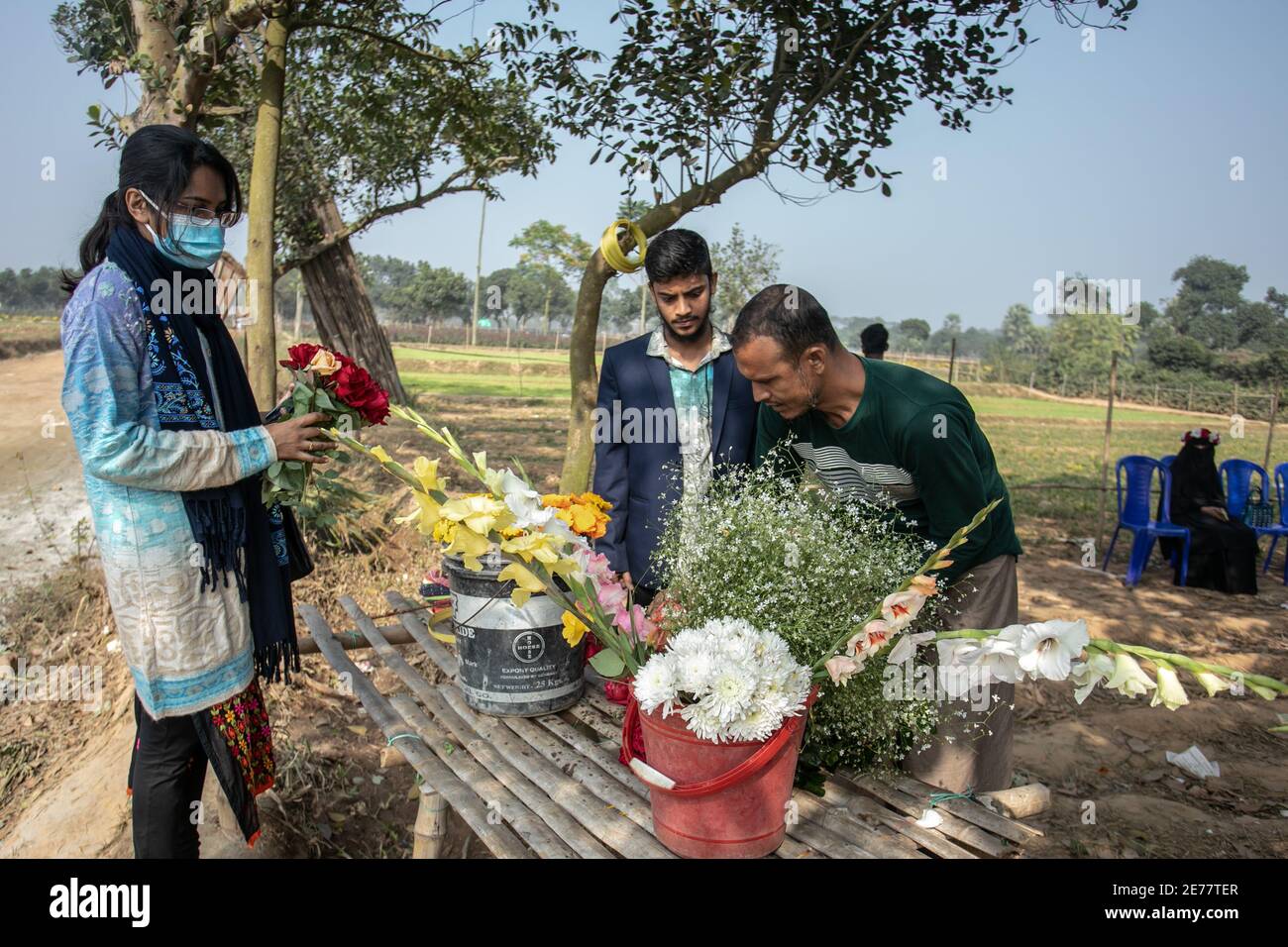 Dhaka, Bangladesh. 26 gennaio 2021. Gli agricoltori raccolgono le rose da imballare prima di venderle mercati. La produzione di rose è un commercio fiorente davanti al giorno della vittoria, giorno internazionale della lingua della madre e stagione di primavera in cui la gente usa i fiori in Bangladesh. I coltivatori di rose a Savar sono molto impegnati a prepararsi per questi eventi. Credit: SOPA Images Limited/Alamy Live News Foto Stock