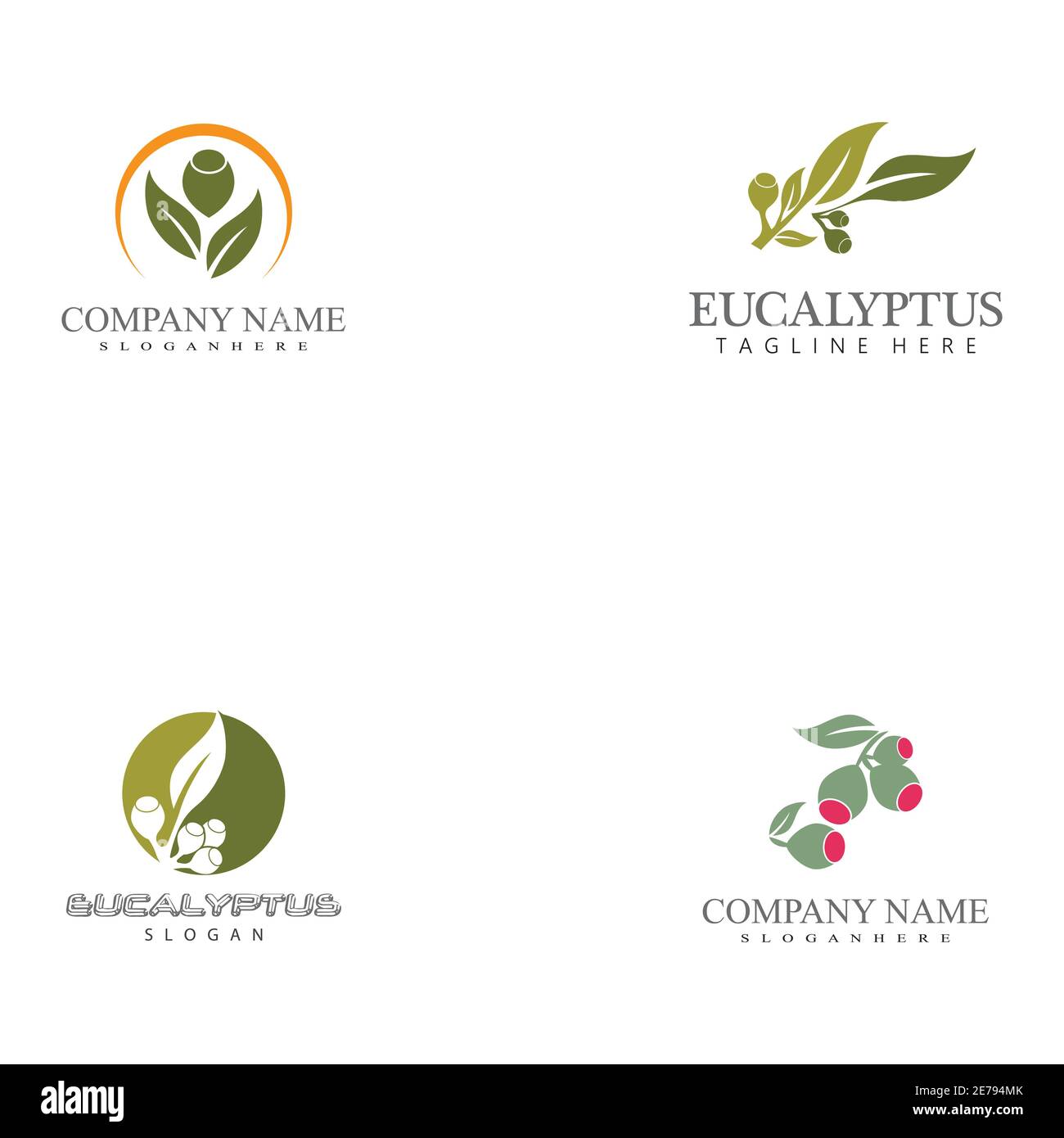 Set Eucalyptus Leaves logo vettoriale modello illustrazione di disegno Illustrazione Vettoriale