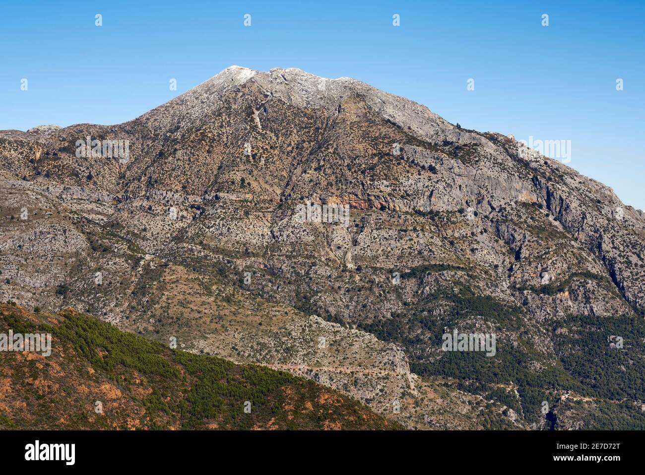 Cima di Torrecilla nel Parco Nazionale della Sierra de las Nieves nella Ronda Sierra, Malaga. Andalusia, Spagna Foto Stock