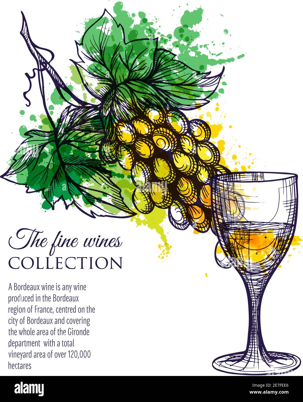 Bicchiere di vino bianco con uva di derivazione disegnata a mano vettore  illustrazione Immagine e Vettoriale - Alamy