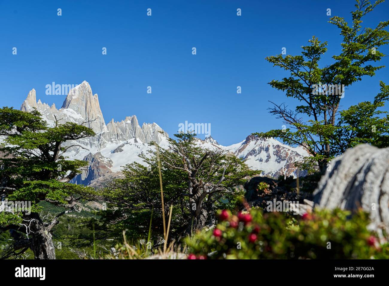 Il Monte Fitzroy è un'alta e caratteristica vetta montana nell'Argentina meridionale, Patagonia, in Sud America e una popolare destinazione di viaggio per escursioni a piedi Foto Stock