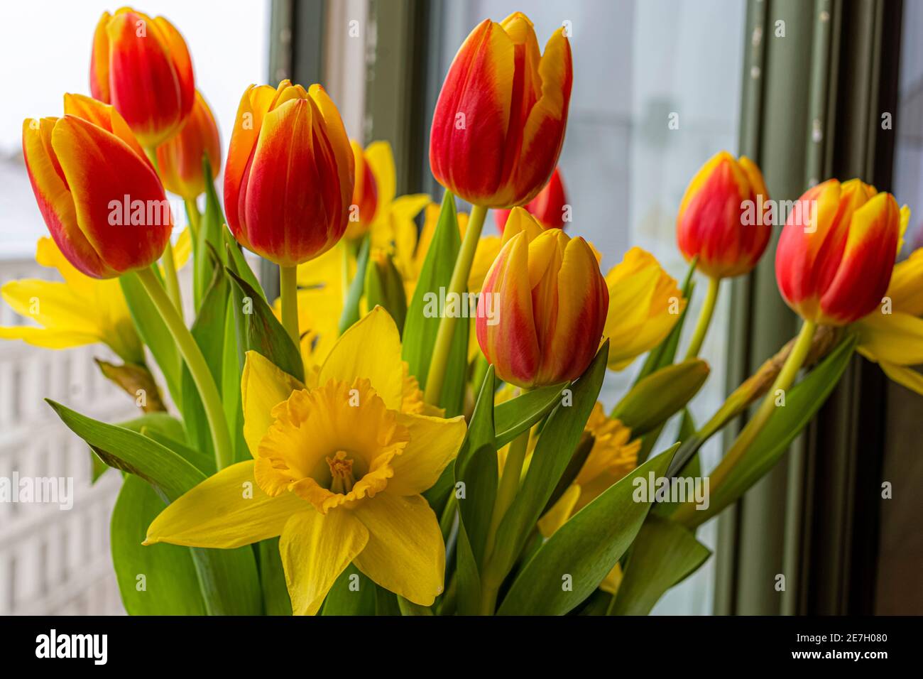 Tulpen und Narrzissen, Blumenstrauß im Frühjahr Foto Stock