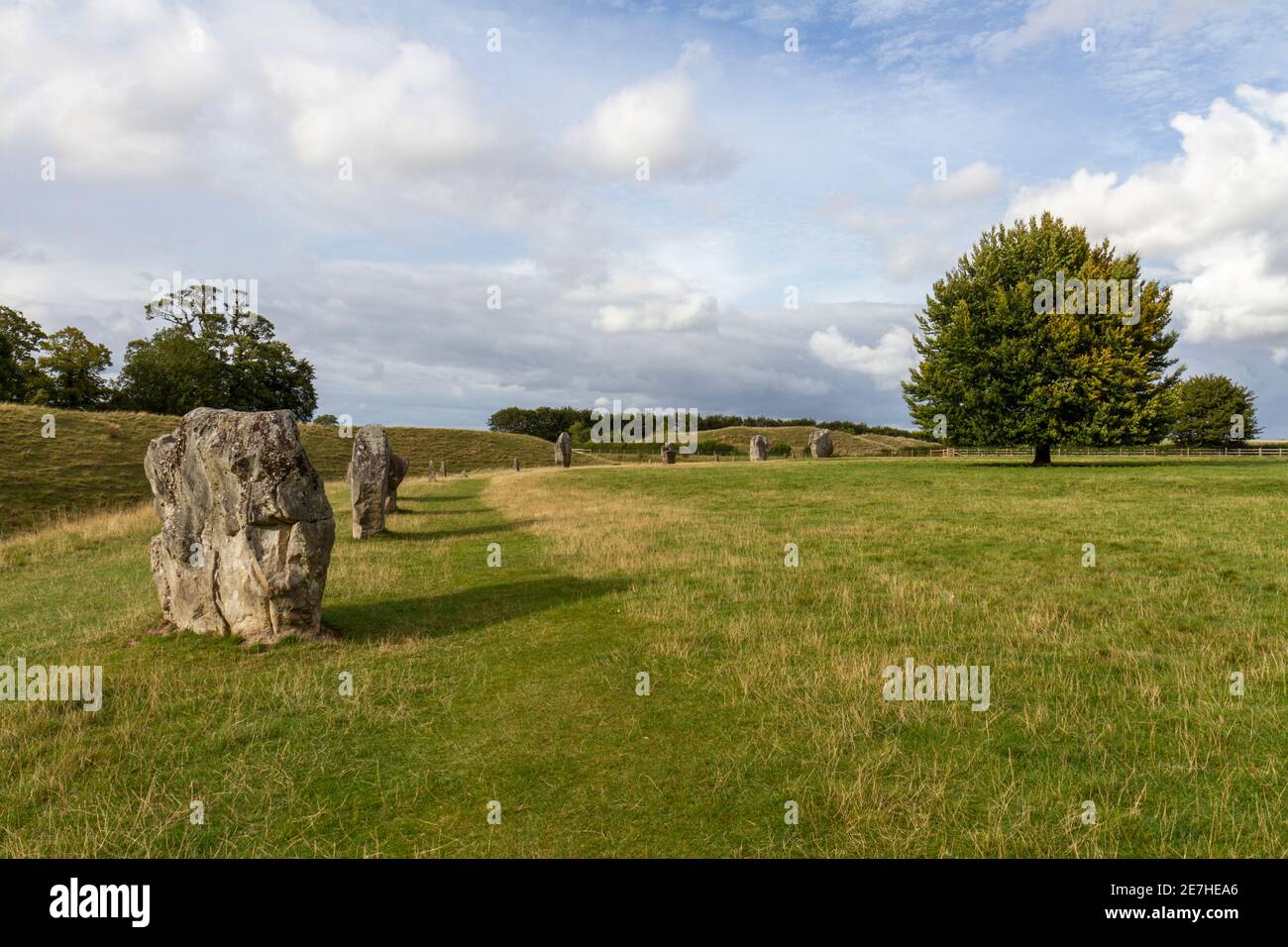 Parte dell'anello esterno del sito di Avebury Hege & Stone Circles, Wiltshire, Inghilterra. Foto Stock