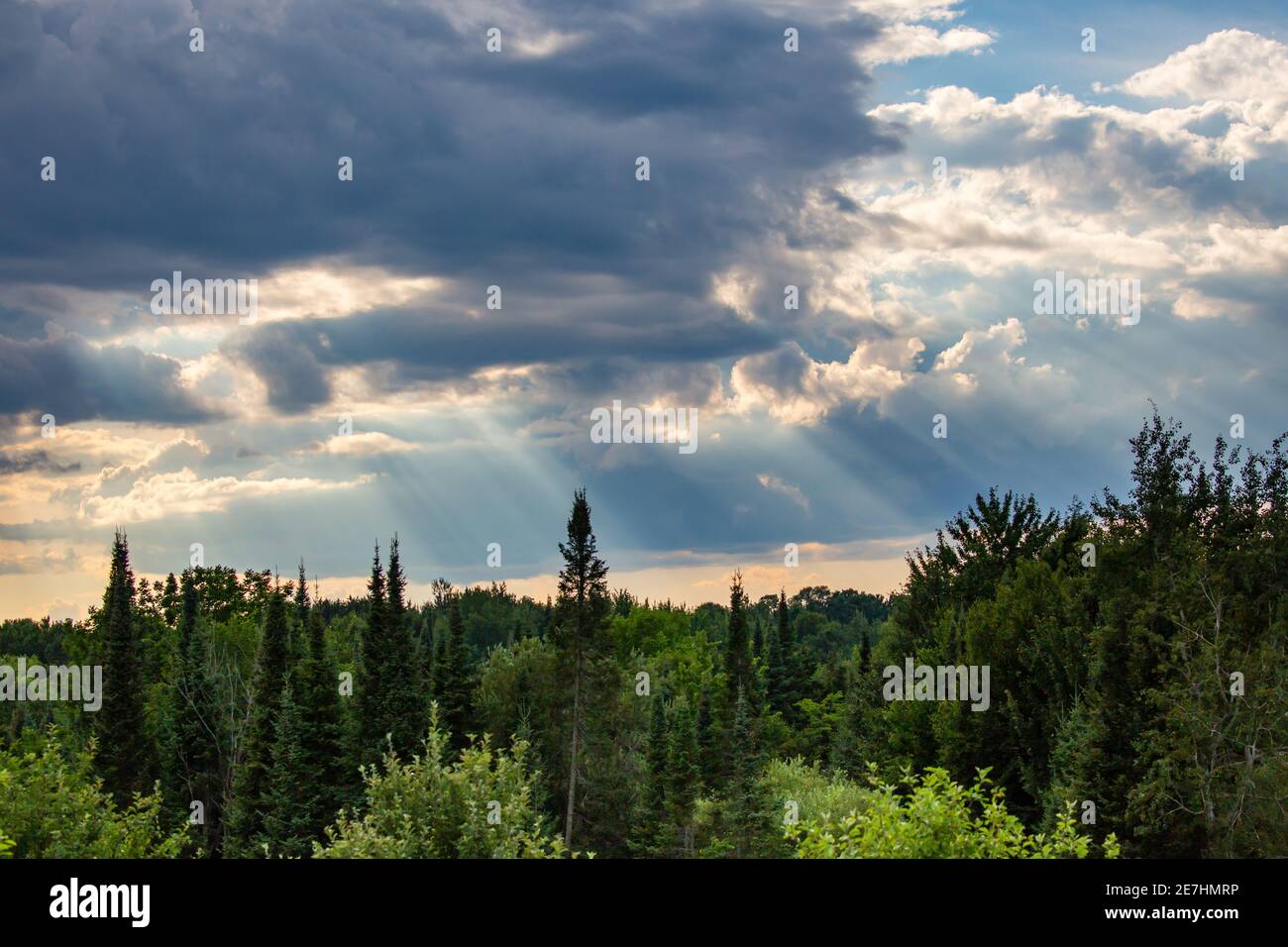 Raggi di luce solare che si infranono su una foresta del Wisconsin nel mese di luglio, orizzontale Foto Stock
