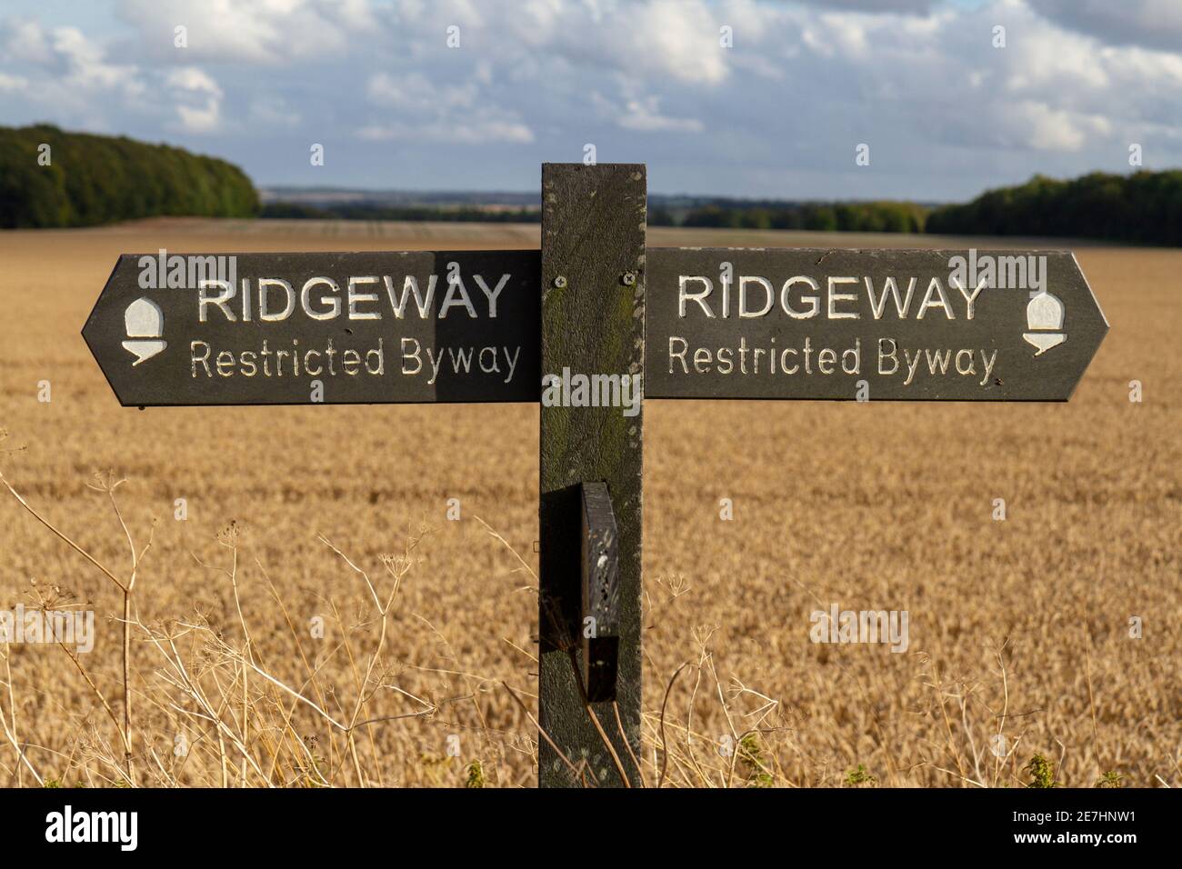 Indicazioni stradali sul sentiero Ridgeway (con accesso limitato) vicino a Wayland's Smithy on the Downs sopra la vale of the White Horse nell'Oxfordshire, Regno Unito Foto Stock