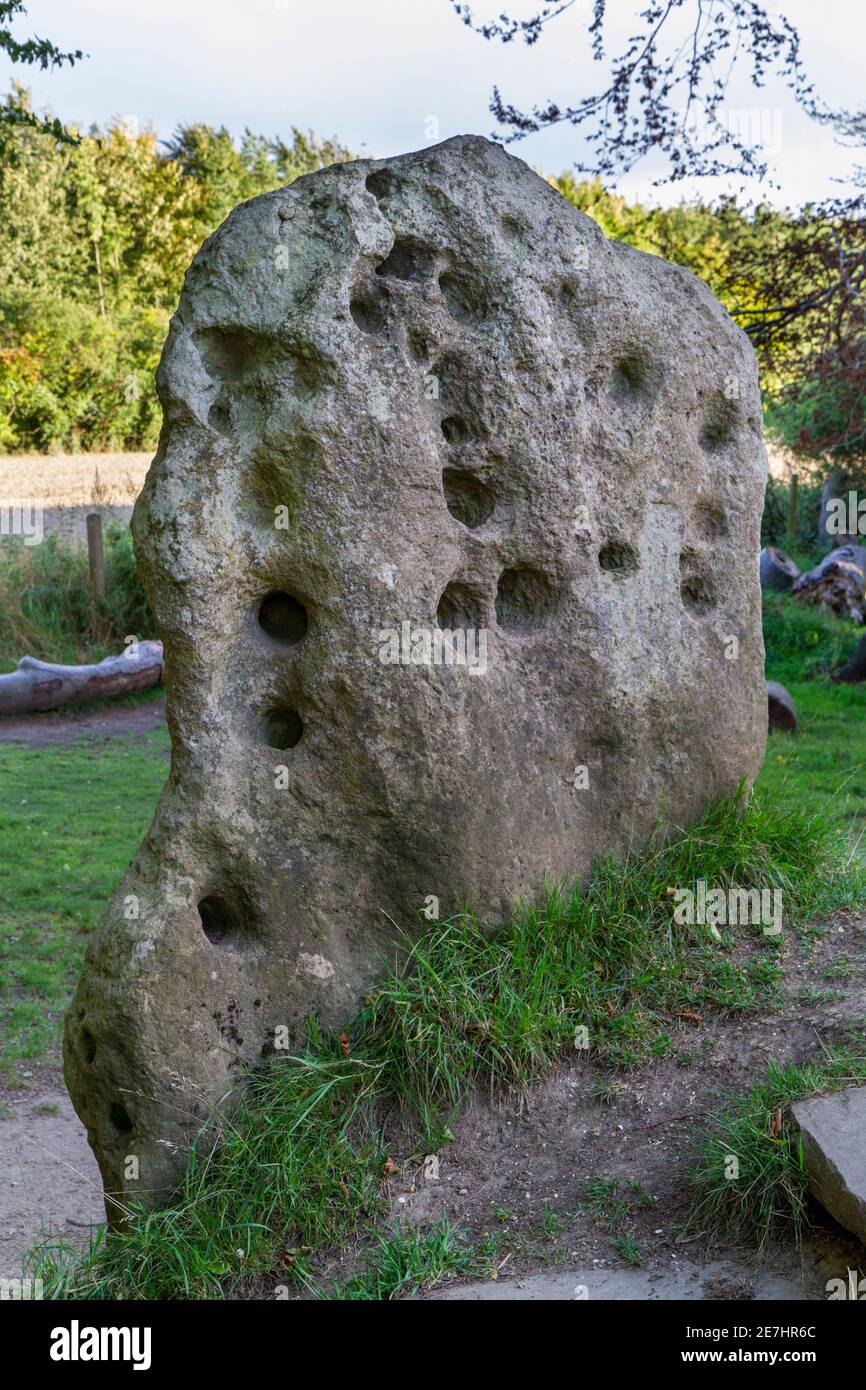 Dettaglio di una delle pietre d'ingresso a Wayland Smithy una tomba neolitica sui Downs sopra la vale del Cavallo Bianco nel sud Oxfordshire, Regno Unito. Foto Stock