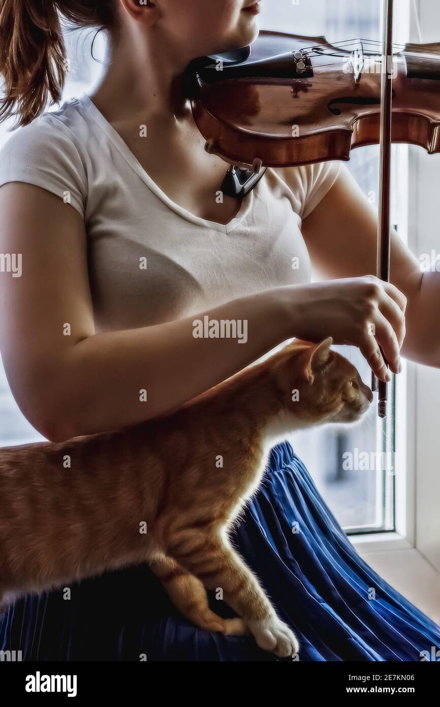 Una giovane ragazza suona il violino vicino alla finestra con un gatto in grembo. Foto Stock