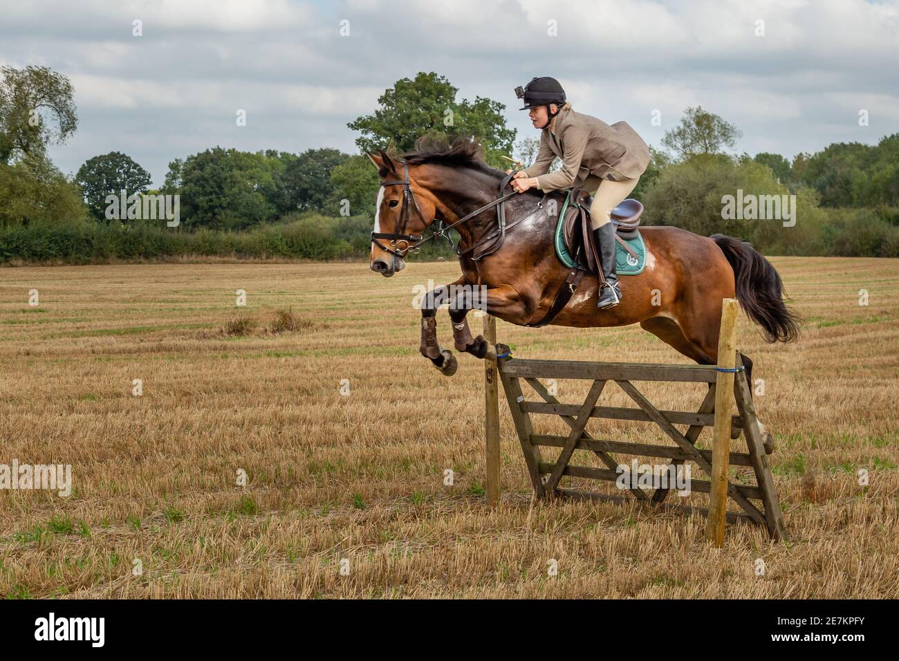 Giovane ragazza che salta un cancello a cavallo mentre fuori puleboot caccia con il hound club border beagle Foto Stock