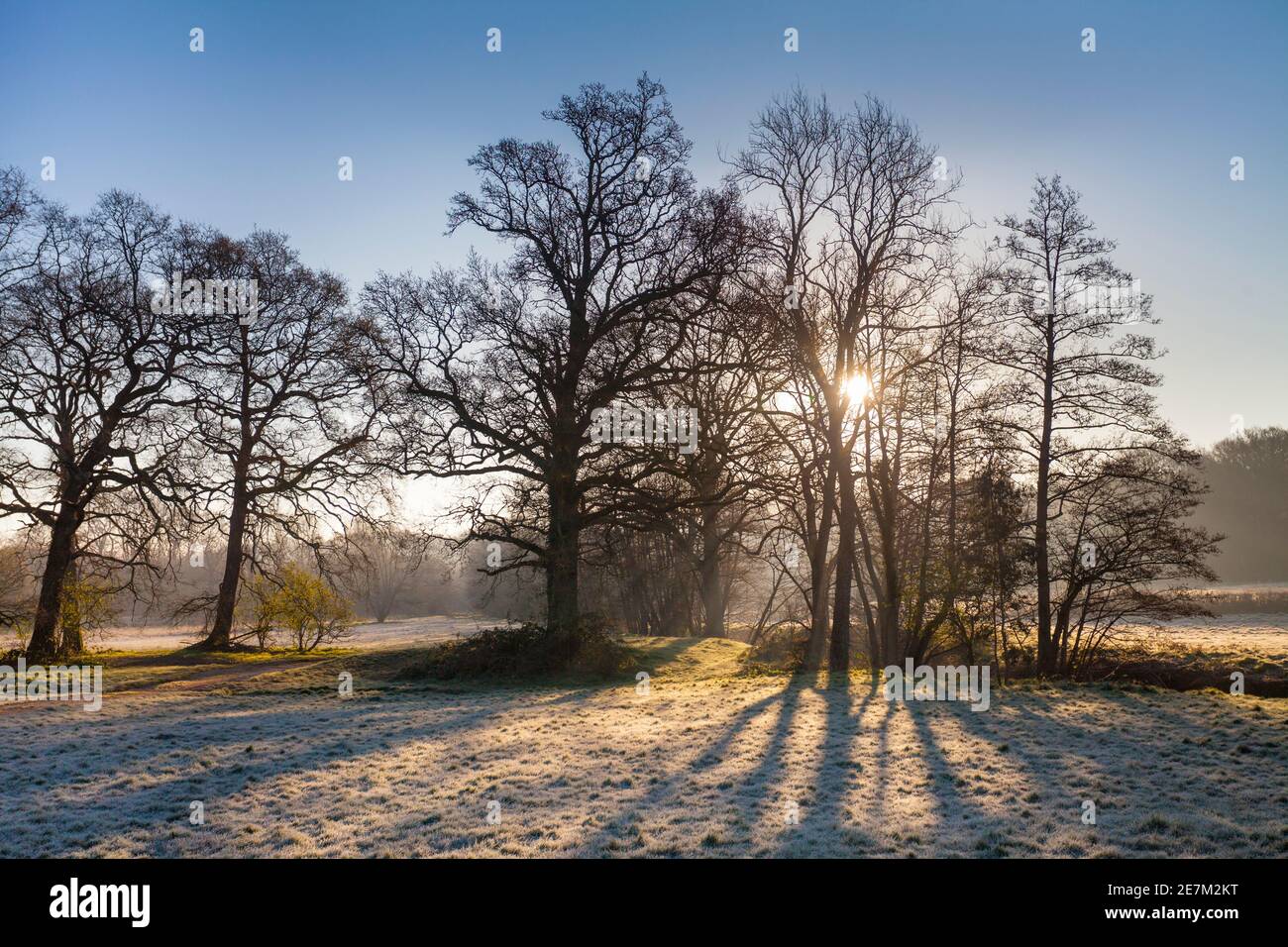 Mattina gelata lungo il fiume Ouse, West Sussex, Regno Unito. Aprile Foto Stock