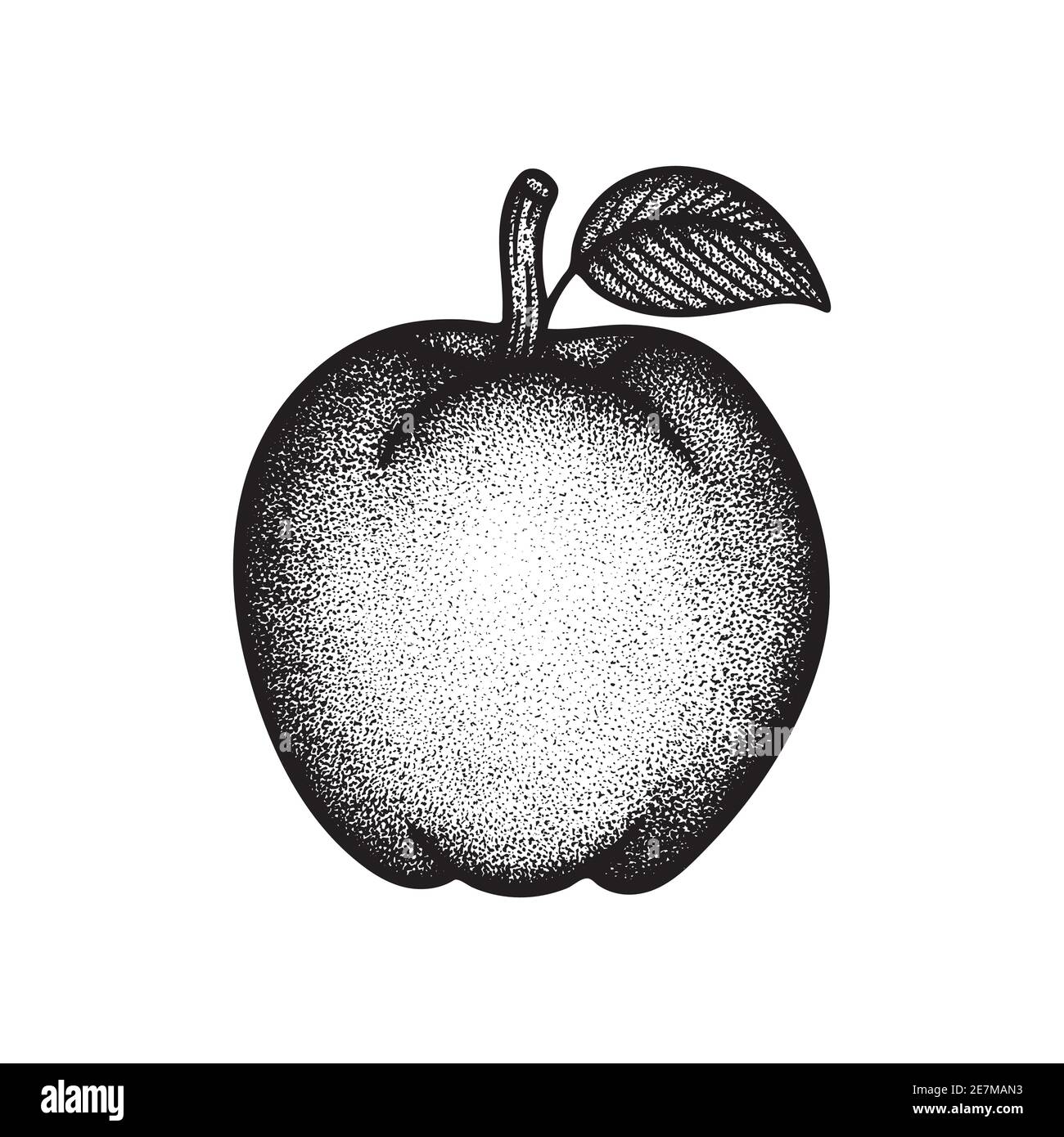 Illustrazione vettoriale disegnata a mano da Apple. Apple con grafica del contorno delle foglie. Disegno di schizzo Apple. Parte del set. Illustrazione Vettoriale