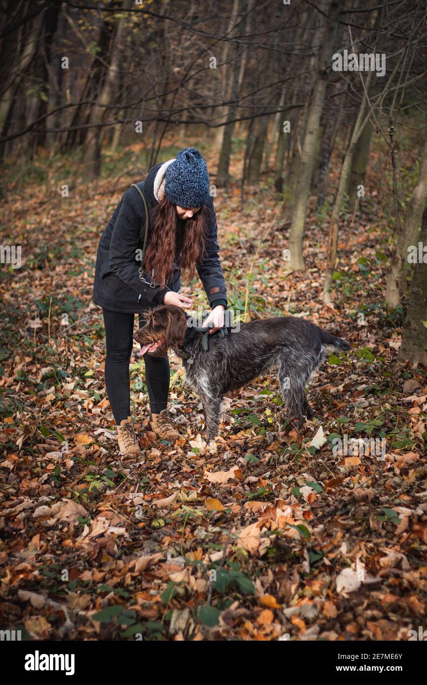 la giovane donna lascia il suo cane da caccia fuori per scout il terreno, alla ricerca di un percorso faunistico. Avviare la ricerca. Donne autentiche con un bel Barbu tchues Foto Stock