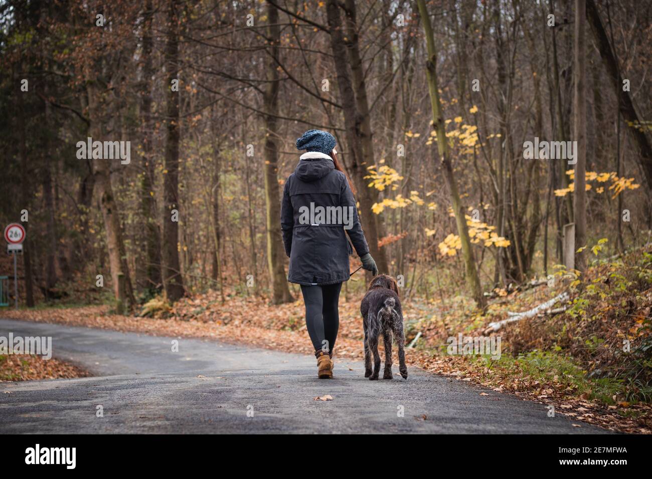 giovane donna in un cappotto e un cappuccio sulla sua testa cammina con il suo cane su un umido mattina presto d'inverno. Donne autentiche con la sua migliore amica Boemia filo-capelli Foto Stock