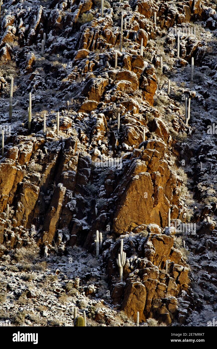 Il crinale roccioso verticale, che si aggira al passo Gates a Tucson, Arizona, mostra cactus saguaro e la caduta di neve nella regione desertica Foto Stock