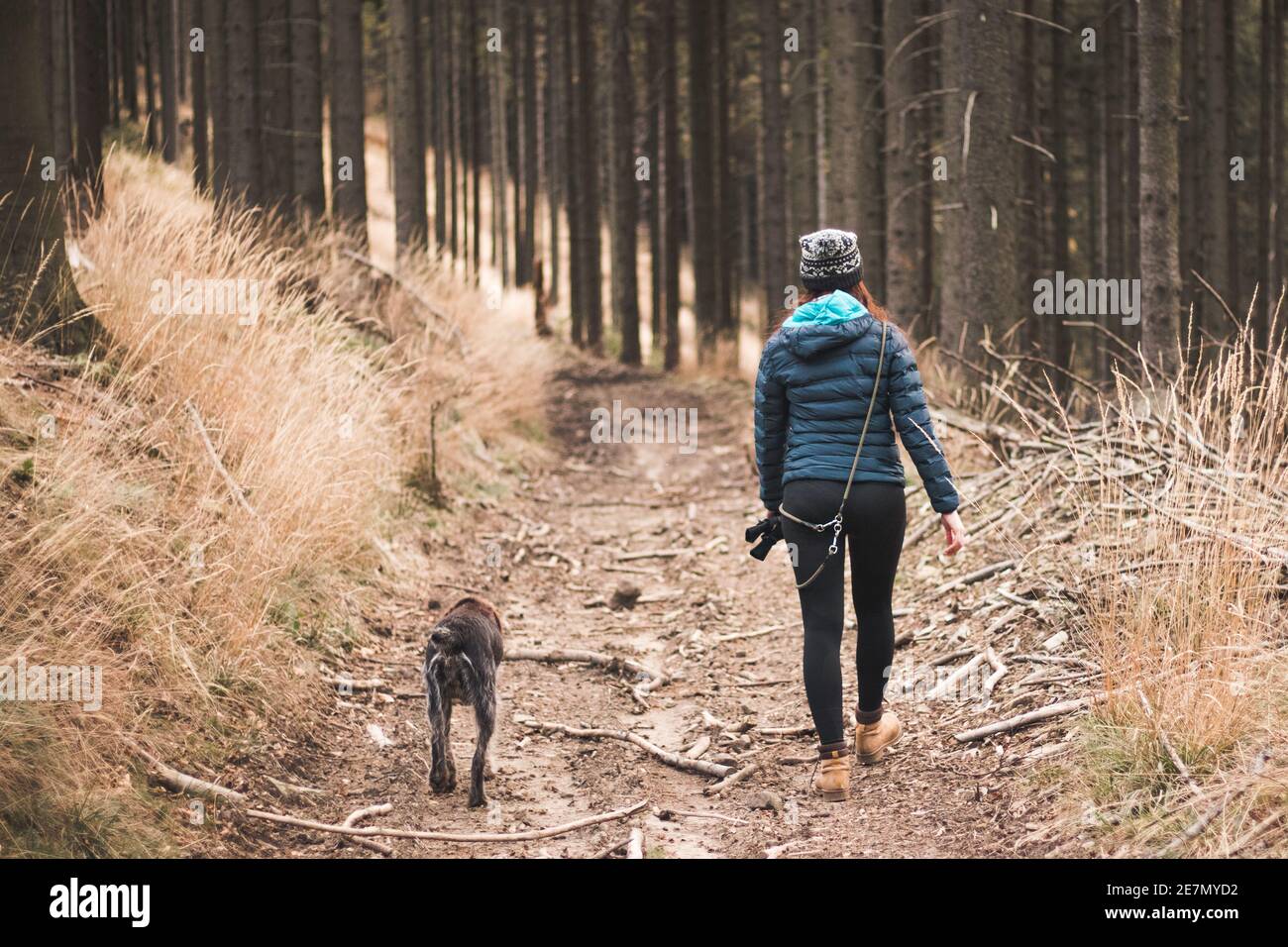 Giovane donna in abiti invernali e il suo cane Cesky fousek cammina nella foresta di mattina. Camminate nei boschi con un cane da caccia. Rapporto tra cane Foto Stock