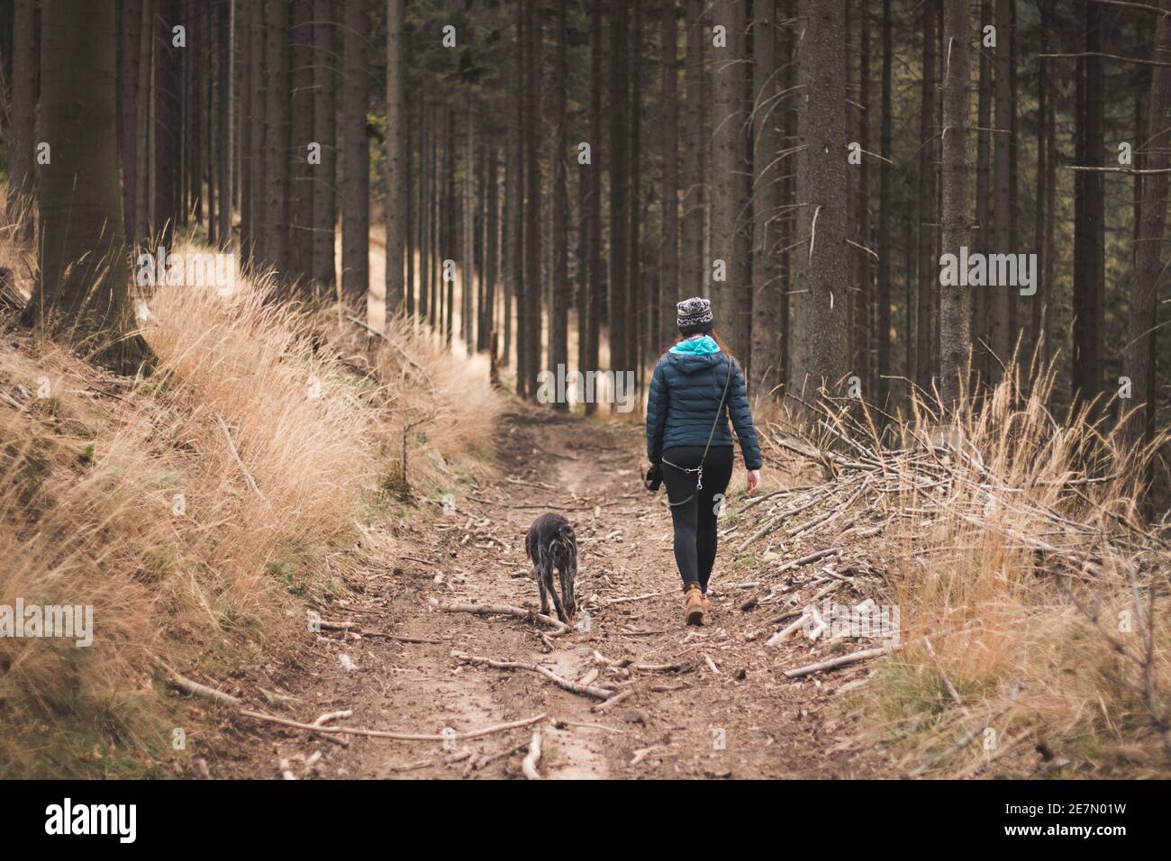 Giovane donna in abiti invernali e il suo cane barbu tcheck cammina attraverso i boschi nelle prime ore. Fiducia tra cane e uomo. atmos tranquillo e rilassante Foto Stock