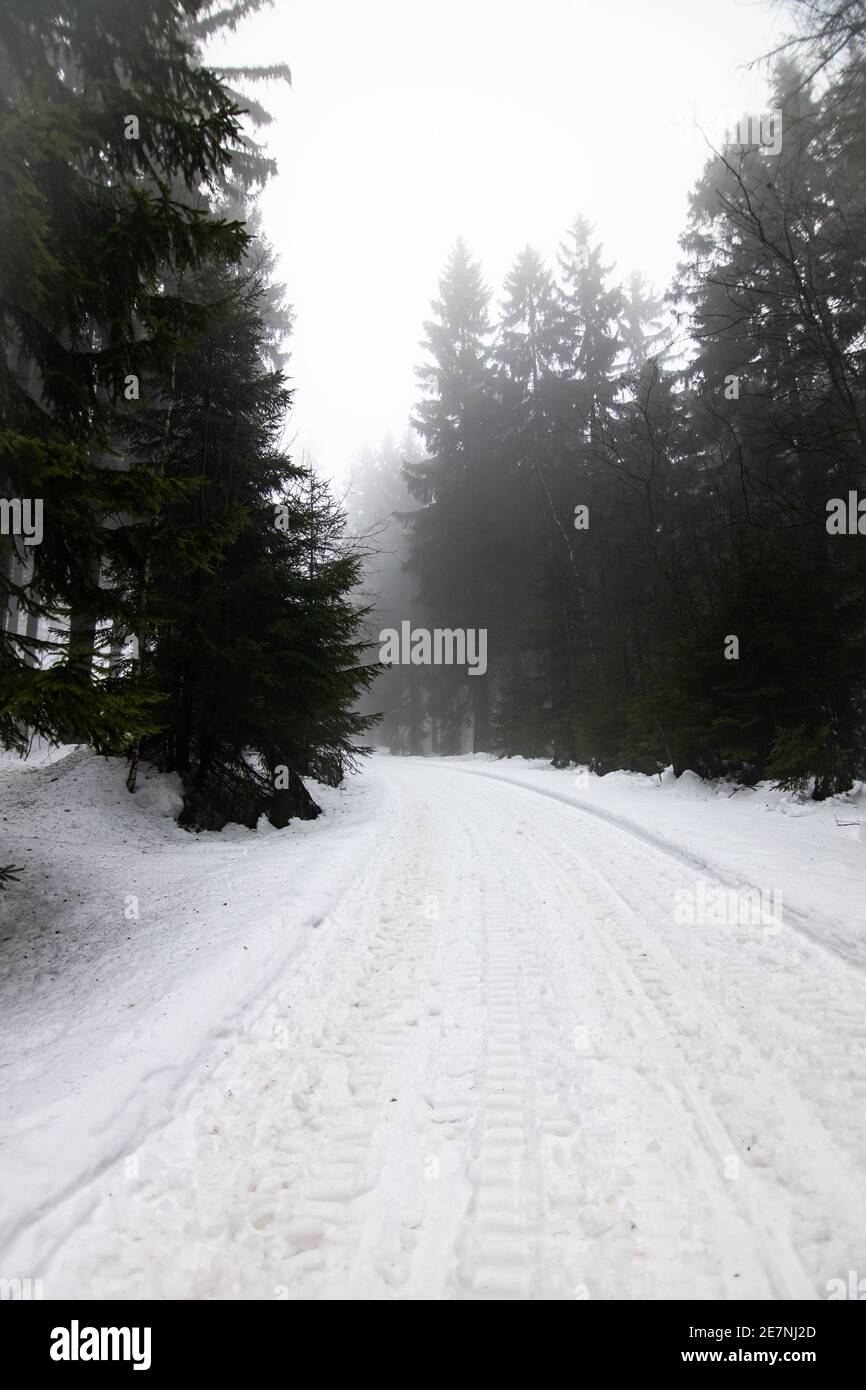 Foresta invernale in paesaggio innevato, Repubblica Ceca Foto Stock