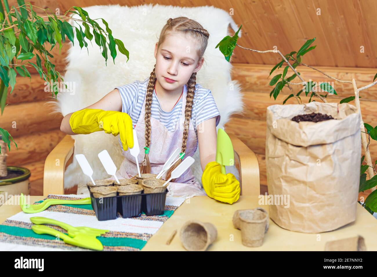 Una ragazza in un grembiule e guanti si sta preparando per la piantagione di primavera di giovani pianta Foto Stock