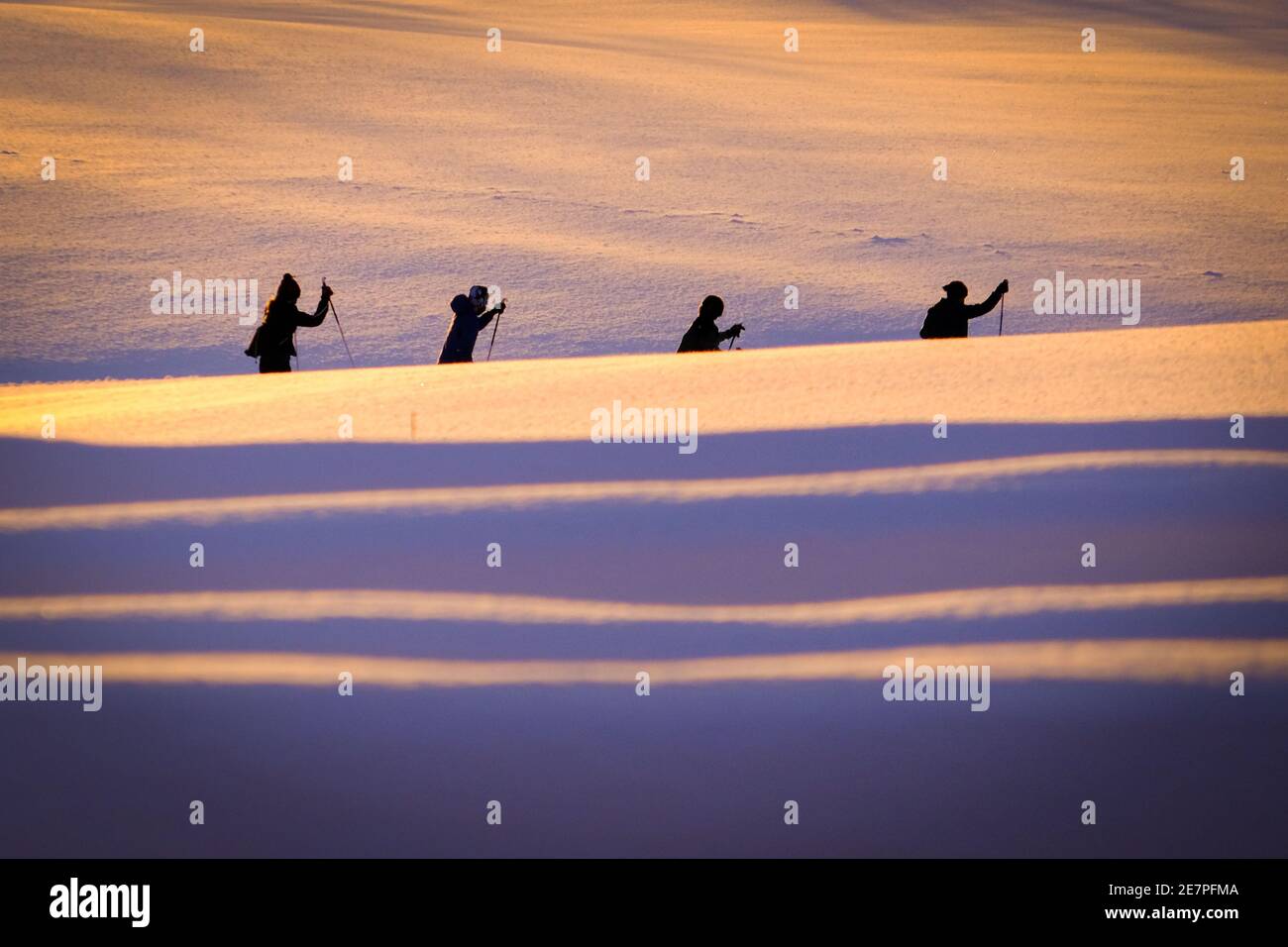 Sci di fondo silhouette contro la neve in bella luce invernale, Montpelier, VT USA. Foto Stock