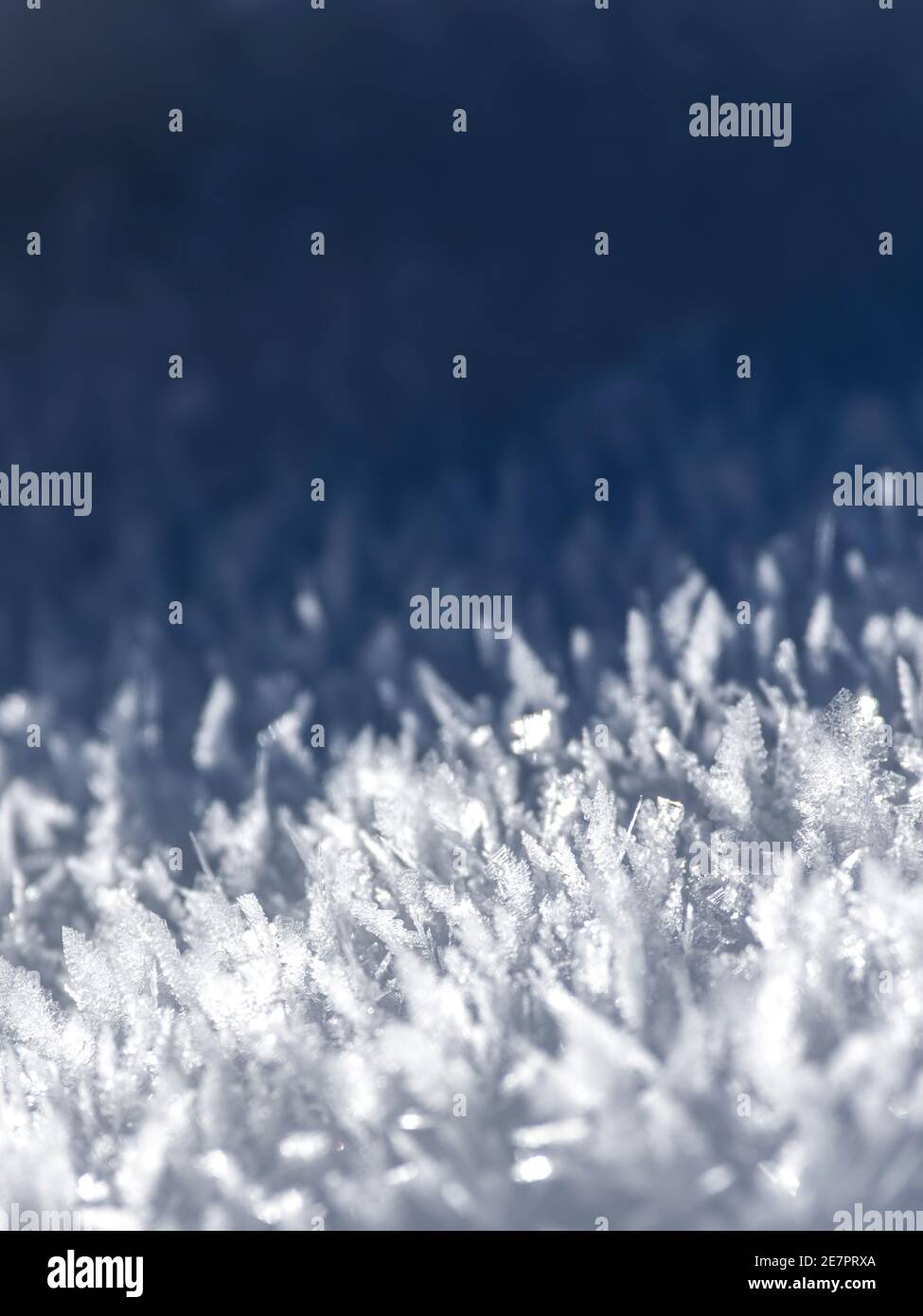 Astratto sfondo bianco e blu di fiocchi di neve congelati Foto Stock