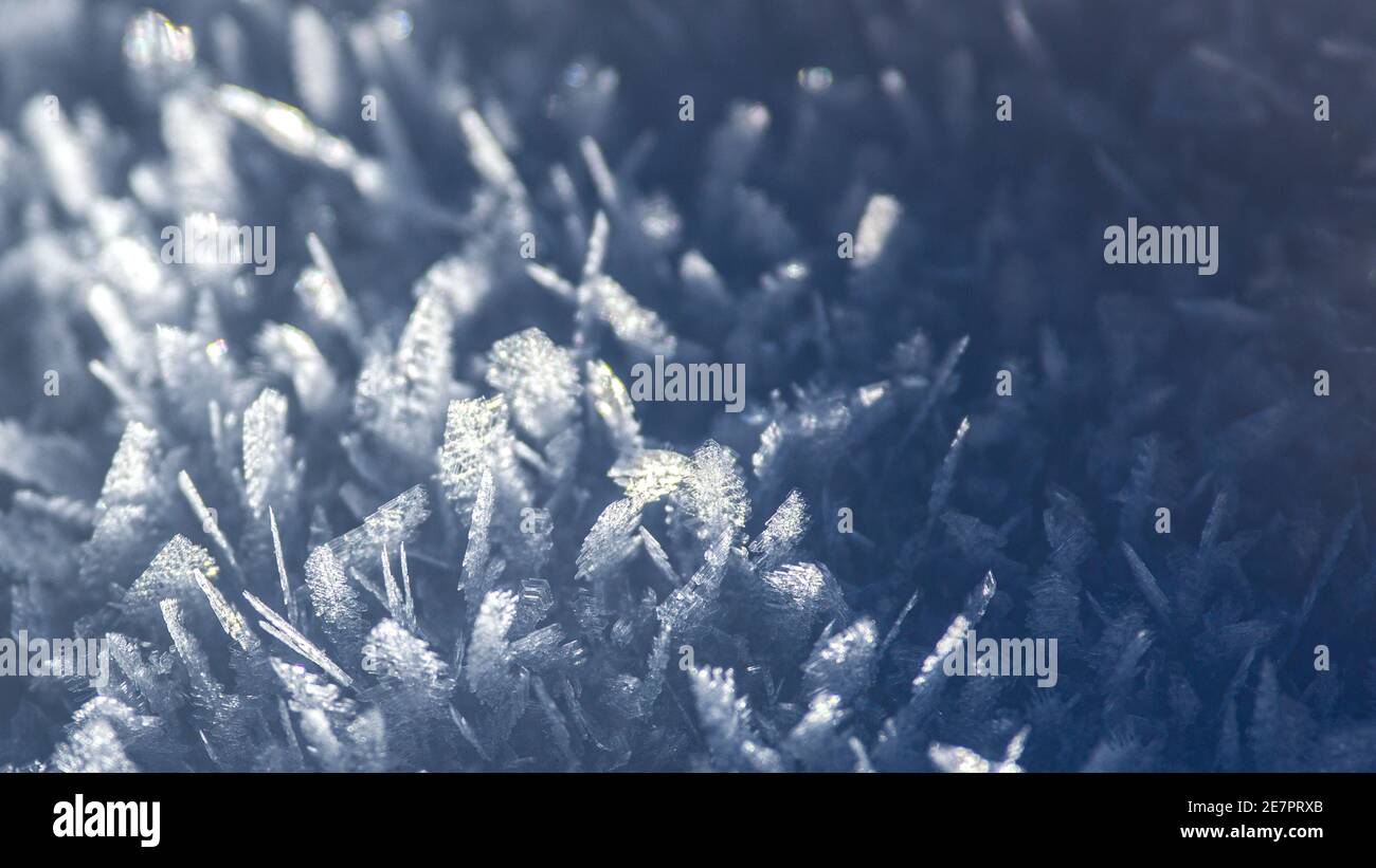 Astratto sfondo bianco e blu di fiocchi di neve congelati Foto Stock