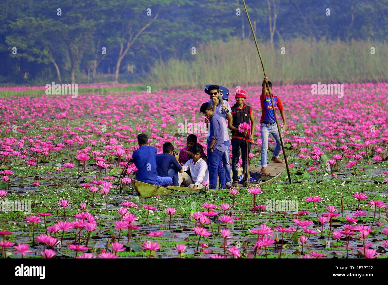 Ora è il momento di guardare il Red Shuffler Bill in Bangladesh Foto Stock